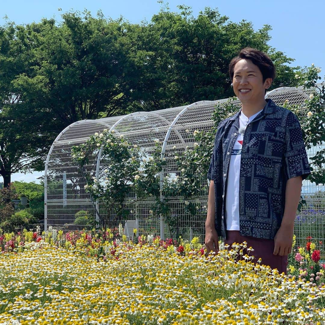 金子貴俊のインスタグラム：「今日は朝からロケしてまーす！ お花が綺麗ですよー。 天気も良いし、張り切って頑張るぞー！」