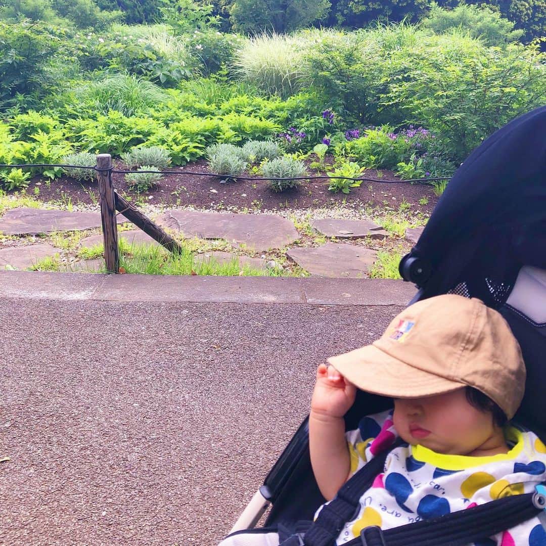 小林麻利子さんのインスタグラム写真 - (小林麻利子Instagram)「…🌙 .. 0歳、1歳で保育園にお通いの方、 午前中のお昼寝はありますか？  午前中のお昼寝を 意図的に無くしている保育園があるので、それについての対策や交渉について、ブログに書きました。  日本人の大人は世界で一番睡眠不足ですが、 赤ちゃんも世界で一番睡眠不足であることがわかっています。  これってすごーく、心配ですよね。 （子供の睡眠心配される方は多いですが、 ご自身の睡眠も課題満載の方、多いです。 まずは親御さんから行うのもいいですね。） . . 学力をあげるには、 情緒を整えるには、 成長を促すには、 どうしたらよいか、  ぜひ、考えてみてください。  生後11ヶ月の息子は、朝寝、少し遅い昼寝をしますが、 夜も朝までぐっすり、寝かしつけもなしで、 過ごせてます。  著書📕①ぐっすり眠れる、美人になれる！#読むお風呂の魔法（主婦の友社）  著書📘②#あきらめていた体質が極上の体に変わる（ダイヤモンド社） 著書📗③#美人をつくる熟睡スイッチ（G.B）#眠りとお風呂の専門家 #小林麻利子 #ねんねトレーニング 反対派 #生後11ヶ月 #お昼寝」6月4日 17時24分 - marikokobayashi.sleep