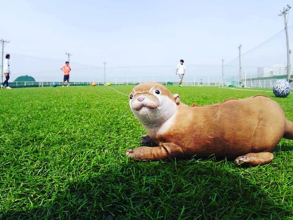 ユニクスさんのインスタグラム写真 - (ユニクスInstagram)「#ユニクス合宿 2019.6.1-6.2  約3年ぶりに1泊2日のユニクス合宿を行いました⚽⚽⚽ いい大人が無邪気になるフットサル合宿‼️ をテーマに今回が5回目😊  以前は毎年行っていましたが大人の事情により間隔が空いてしまっていました💦  ただ年月は流れましたが合宿の楽しさは色あせていません✨✨✨ フットサルはもちろんのこと  大人の大運動会  ドッジボール  フットカーリング  など  仲間同士で各種競技、真剣に‼️競い合いました😁  合宿の準備、企画は大変なのですが、 みんなの楽しむ姿を見れることはそれ以上にやり甲斐を感じられます🎶  次回、合宿は一年後を目指して日々のフットサル活動を行って行きたいと思いました。  参加のみんなありがとうございました☀️ #フットサル #ユニクス #フットサル合宿 #約3年ぶり #フットサル女子 #サンセットブリーズ保田 #1泊2日 #15時間スポーツ #futsal #ユニクス大運動会 #運動会 #二人三脚 #風船割り #リレー #大縄跳び #ドッジボール #フットカーリング #個人競技フットサル #夜 #バーベキュー #BBQ #宴会 #フットサル後の宴 #フットサルチーム #社会人チーム #学生もいます」6月4日 17時28分 - fc.uniqs