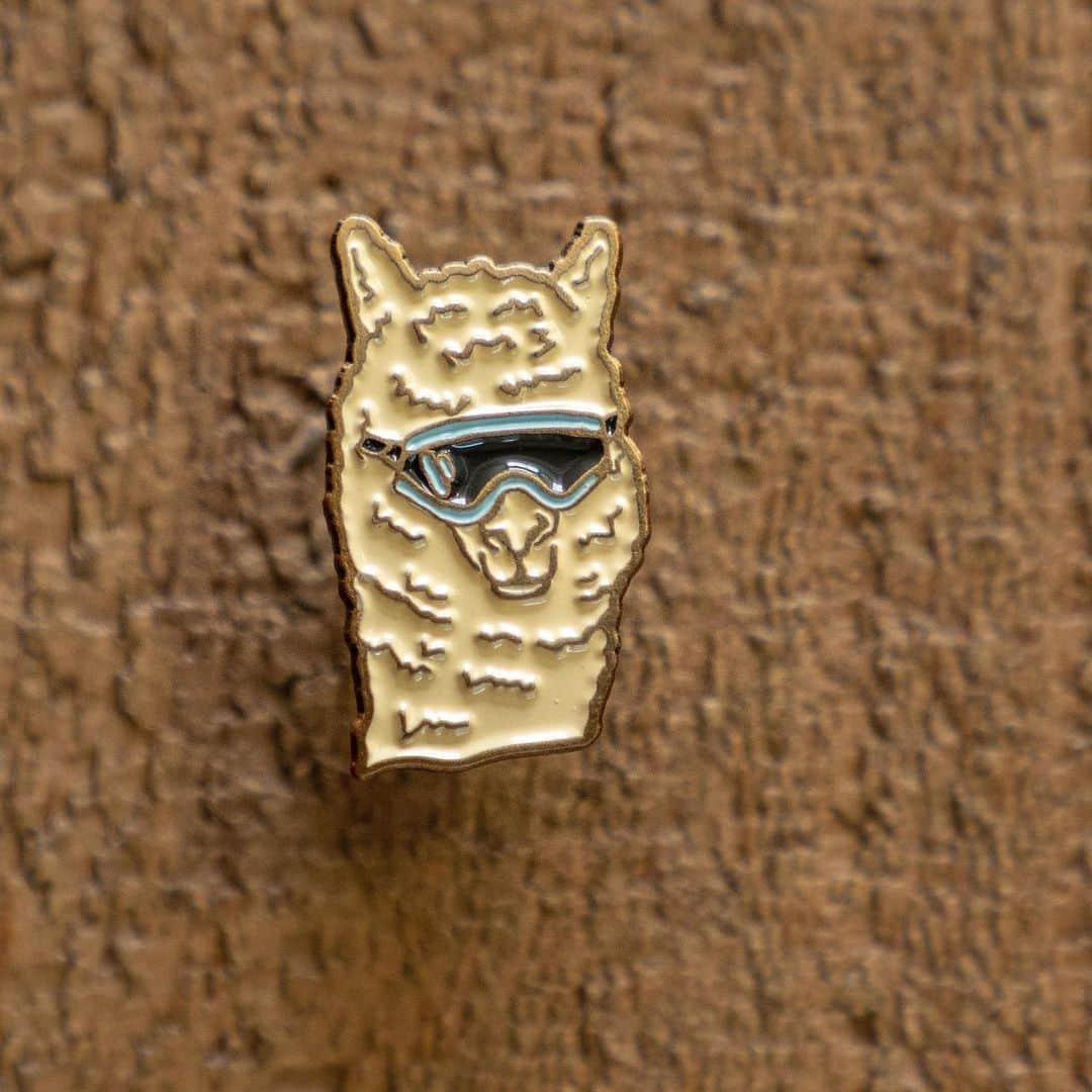 クリス・バーカードのインスタグラム：「*SOLD OUT  I’ll never be as cool as my Alpaca Suzy Q 🦙. So I made a pin to celebrate her awesomeness & strict dress code. Wear em with pride & support a furry friend.  A very limited run available in my shop 👉🏼 www.ChrisBurkardshop.com  Or my bio link.  Thanks to the talented young designer @ajwiley.design for making this happen 🙌🏼」