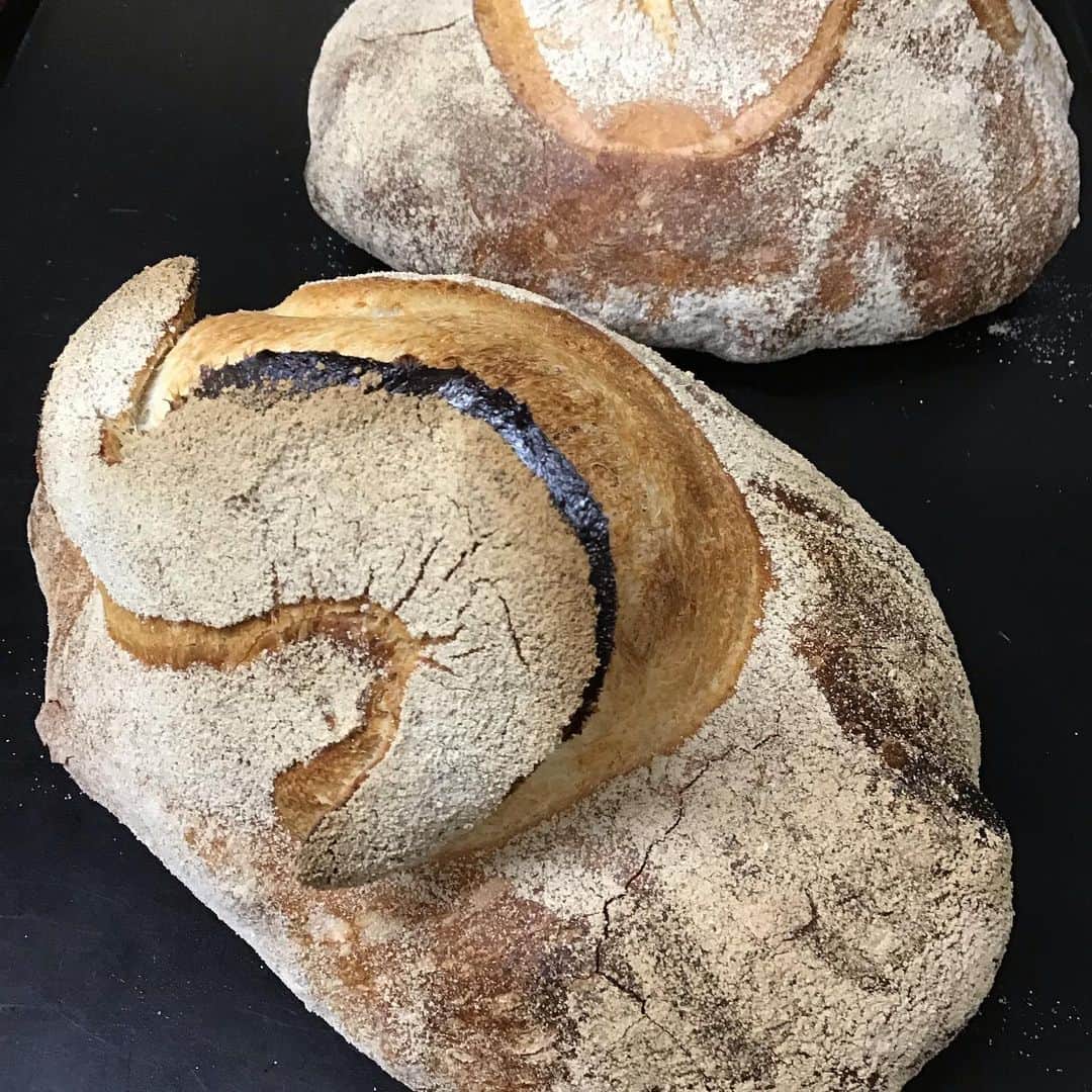 魔女菅原のグルメインスタ