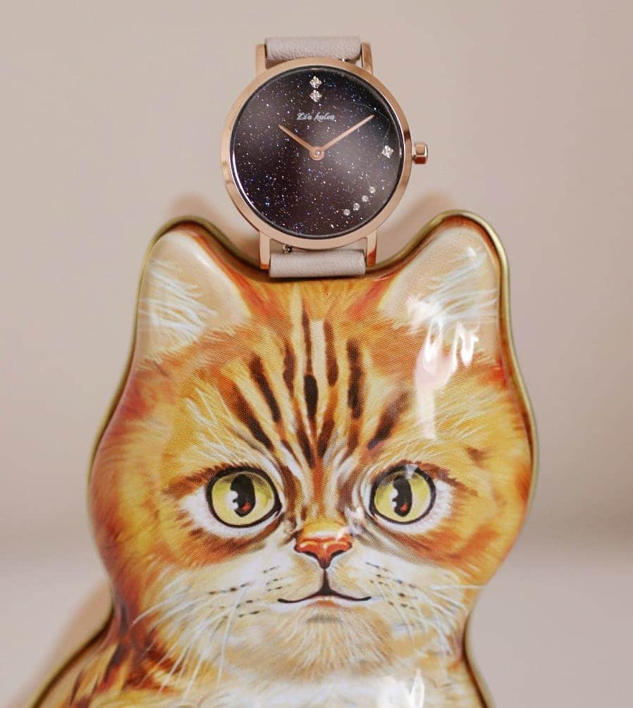 寅次郎（とらちゃん）さんのインスタグラム写真 - (寅次郎（とらちゃん）Instagram)「☆ Two cats with watch . この猫さん僕にちょっと似てるにゃん . 可愛い時計は @liakulea_japan さまのモニター企画⌚ . ハワイの星空をイメージして作られたブランドだそうで、文字盤が星空のようにキラキラしていてとっても綺麗✨ . 文字盤のサイズも小さめで使いやすそうです。 . 公式サイトで10%off クーポンコード →【torachanthecat】 . Special Thanks🐈❤ @cyura.gaju . . #リアクレア #時計 #腕時計 #liakulea #手元倶楽部 #腕時計倶楽部 . #cat #instagramjapan #cute #にゃんだふるらいふ #無敵の親バカ同盟#にゃんすたぐらむ #ねこ #猫 #猫のいる暮らし #meow #エキゾチックショートヘア #貓 #ねこすたぐらむ」6月4日 12時58分 - torachanthecat