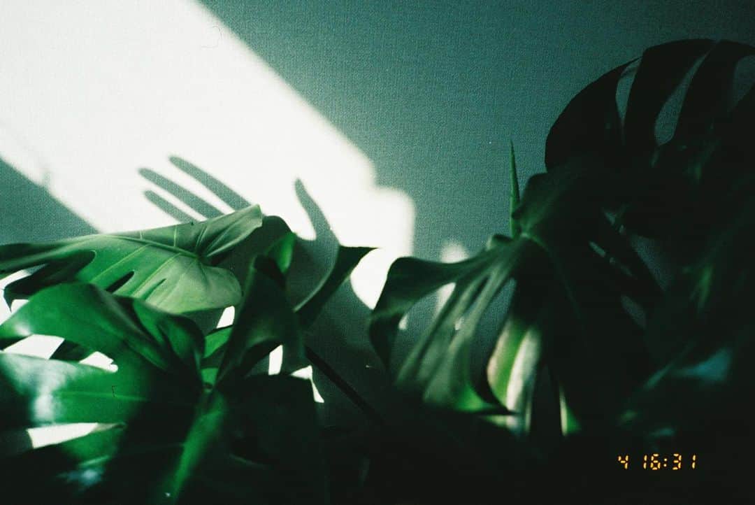アンジェリーナ・ダニロヴァさんのインスタグラム写真 - (アンジェリーナ・ダニロヴァInstagram)「Spring/beginning of summer 2019 films.Hidden streets of Euljiro filled with sunlight.Game of shadows.Poke bowls with friends.Jazz festival day.And lovely ladies.📷 more photos and cameras info at @freesoulfilms #🎞 #35mm」6月4日 13時08分 - angelinadanilova