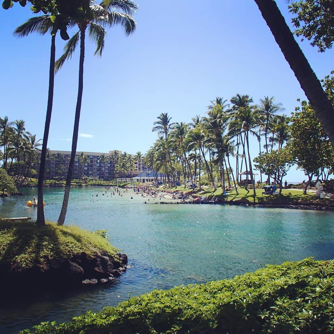 BAILAさんのインスタグラム写真 - (BAILAInstagram)「先日のお休みにハワイ島に行ってきたのですが、泊まったホテルが過去最大スケールですごかった！敷地内にはトラムやボートが走っていて、とにかくケタ違いの広大さ。一番驚いたのは、砂浜のあるラグーンに海亀が泳いでいたこと！SAPをしていたら横をすい〜と横切って行きました😳海とつながっているのでお魚もいるんです。その横のラグーンにはイルカが何頭も泳いでいたり、敷地内でフラミンゴや陸亀を飼育していたり。滝やスライダーのあるプール、大人向けの静かなプールもあり、全部制覇するのが大変なほど。ほぼホテルから出ずに過ごしましたが、4泊では足りないくらい最高に楽しいホテルステイになりました！また行きたいな〜🏄☀️✨（編集ディス子）  #baila_magazine #ヒルトンワイコロアビレッジ #ハワイ島 #夏休み計画」6月4日 13時20分 - baila_magazine