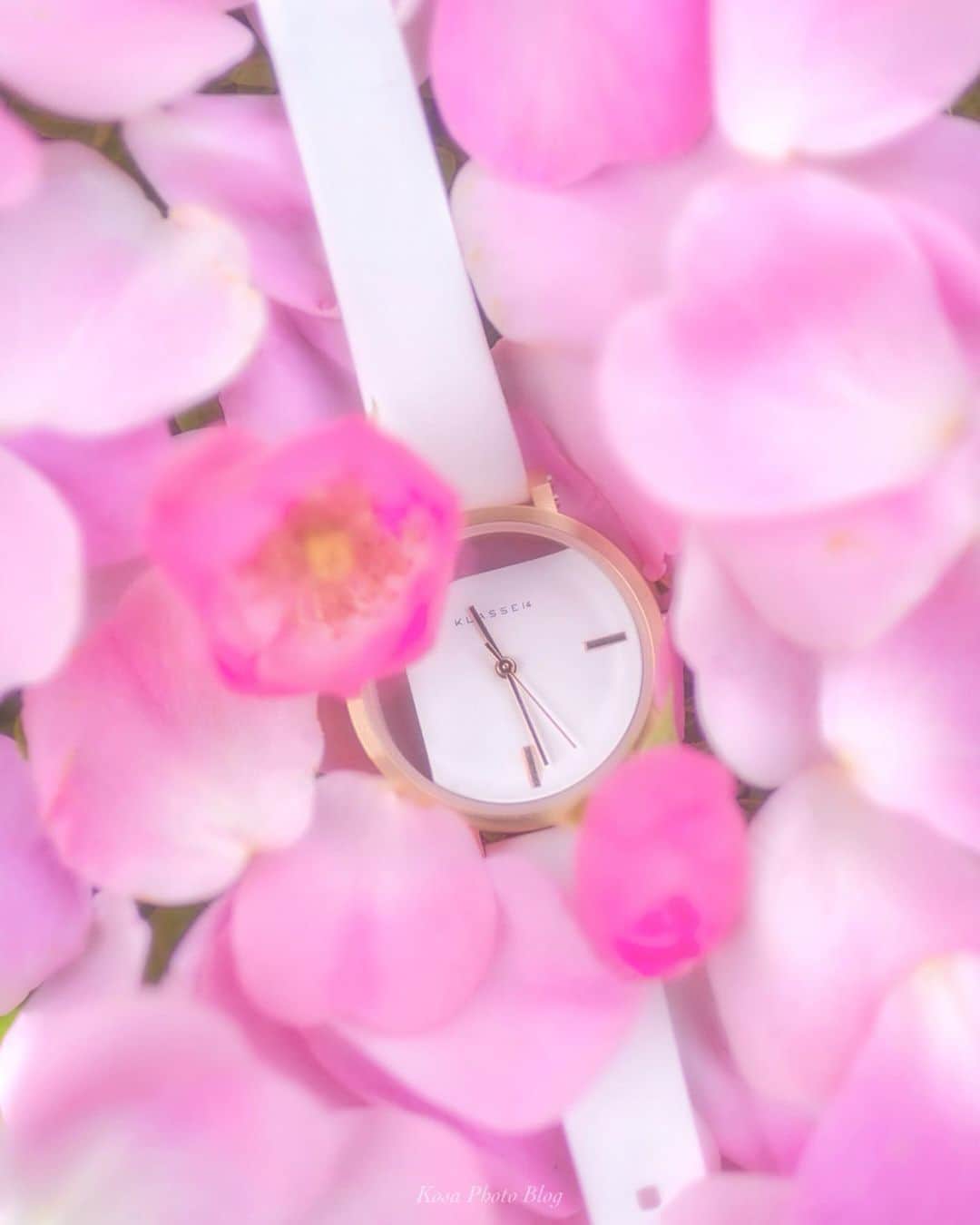 コサさんのインスタグラム写真 - (コサInstagram)「@KLASSE14 様からおしゃれな時計を頂きましたので撮影してきました📸 .  今月発売となる新作の「IMPERFECT ANGLE RoseGold 32mm」です。取り外し可能な2種類のベルトが用意されています。 * * * @KLASSE14@klasse14_japanofficial Twitter：@KLASSE14_JAPAN http://www.klasse14.com/ ． * * * #HUEART_life #KLASSE14 #watch #ウォッチ #時計 #腕時計 #おしゃれ #good_portraits_world #jp_portrait部 #手元倶楽部 #screen_archive #as_archive #jp_mood #colorsjp #pics_jp #IGersJP #inspiring_shot #LINES_and_POINTS #instagramjapan #art_of_japan_ #tokyocameraclub #dpj_member #team_jp_ #IG_PHOS #photo_jpn #ptk_japan #pt_life_ #bestjapanpics #Lovers_Nippon」6月4日 13時52分 - kosa_photo