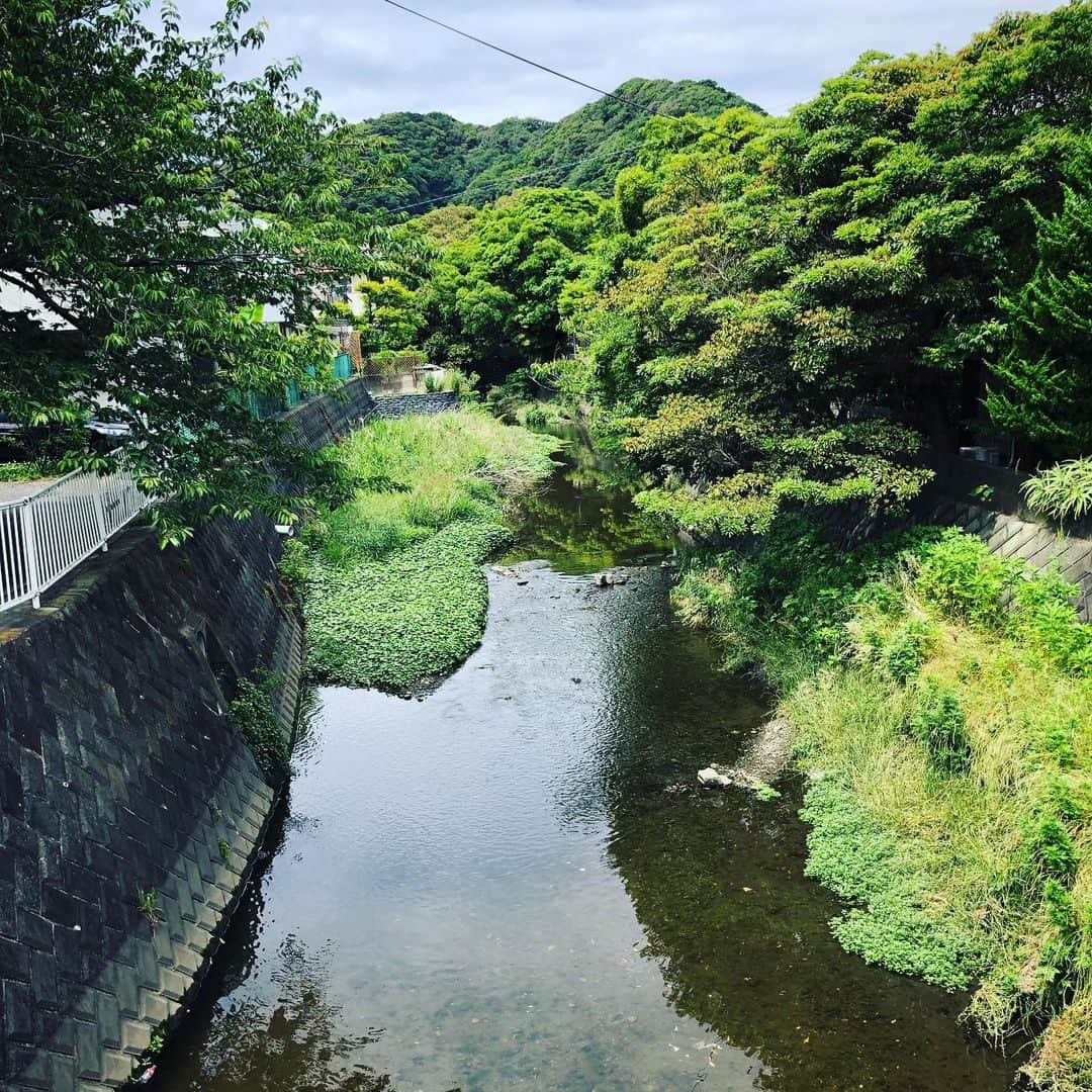 鈴木みのるさんのインスタグラム写真 - (鈴木みのるInstagram)「stream  以前ここでウナギが泳いでたのを見たことがある。パーフェクト天然ウナギ。蛇かと思ったらウナギだったという思い出。海とか川とか池とか見るとついついポイント探してしまう釣り人の性。。」6月4日 14時04分 - suzuki.d.minoru