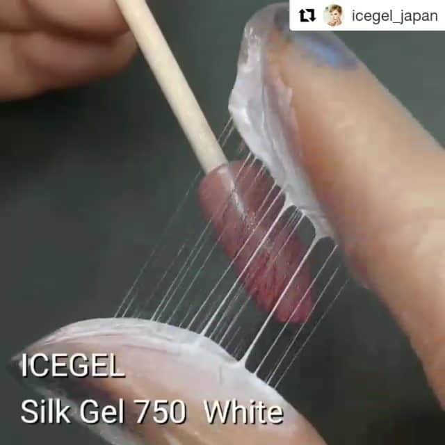 Icegel Nailのインスタグラム