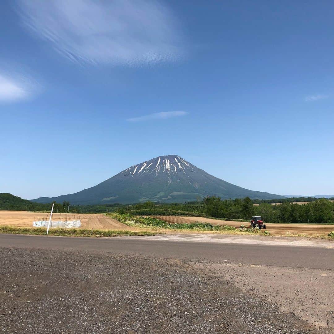 八木隆太郎さんのインスタグラム写真 - (八木隆太郎Instagram)「今日の八木タイムスのコーナーは 私が大好きなアスパラの特集です✨  真狩村のアスパラチャンピオン田村さんに色々とアスパラのおいしい見分け方や特徴を聞いてきましたよ♩ アスパラ狩りもさせてもらいました^_^ ・アスパラの期待される効果って？ ・北海道のアスパラなぜおいしい？ ・アスパラの知られざる世界 ・アスパラ究極の食べ方は！？ ぜひ【みんテレ】ご覧ください♩  #アスパラ」6月4日 14時45分 - ryutaroyagi0414