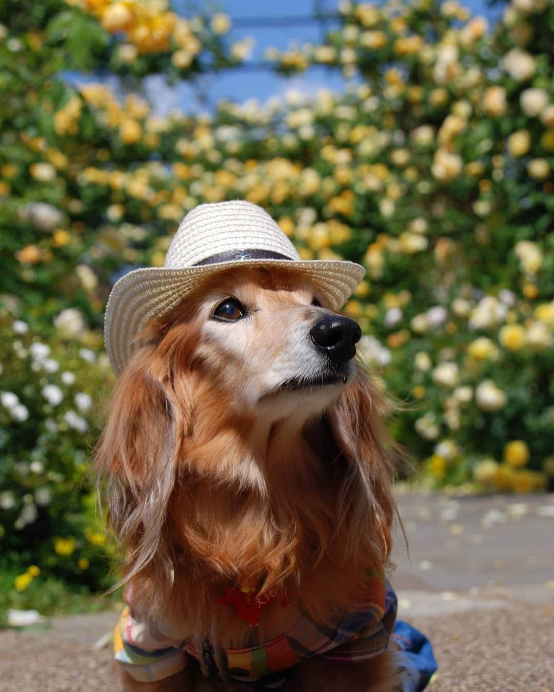 ?モデル?大地?のグルメインスタ