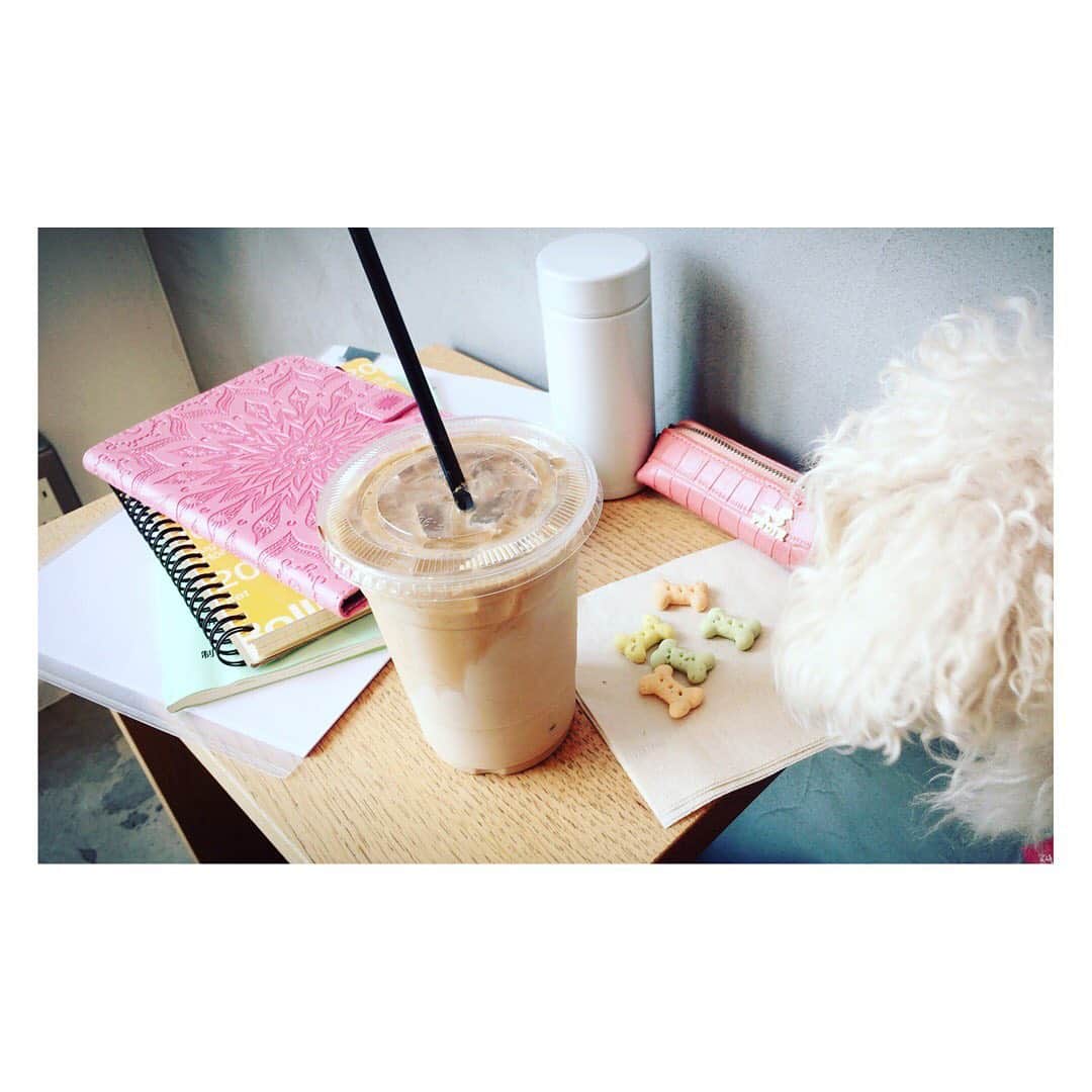 白羽ゆりのインスタグラム：「今日は一つ収録を終えて、また新しいのを覚えてます。  カフェが、一番集中出来る。  もふもふちゃんは、ここのお店のおやつが大好き。実は、このおやつ無料で頂けるんです😍👏👏 そりゃ、来ちゃうよねー✨」