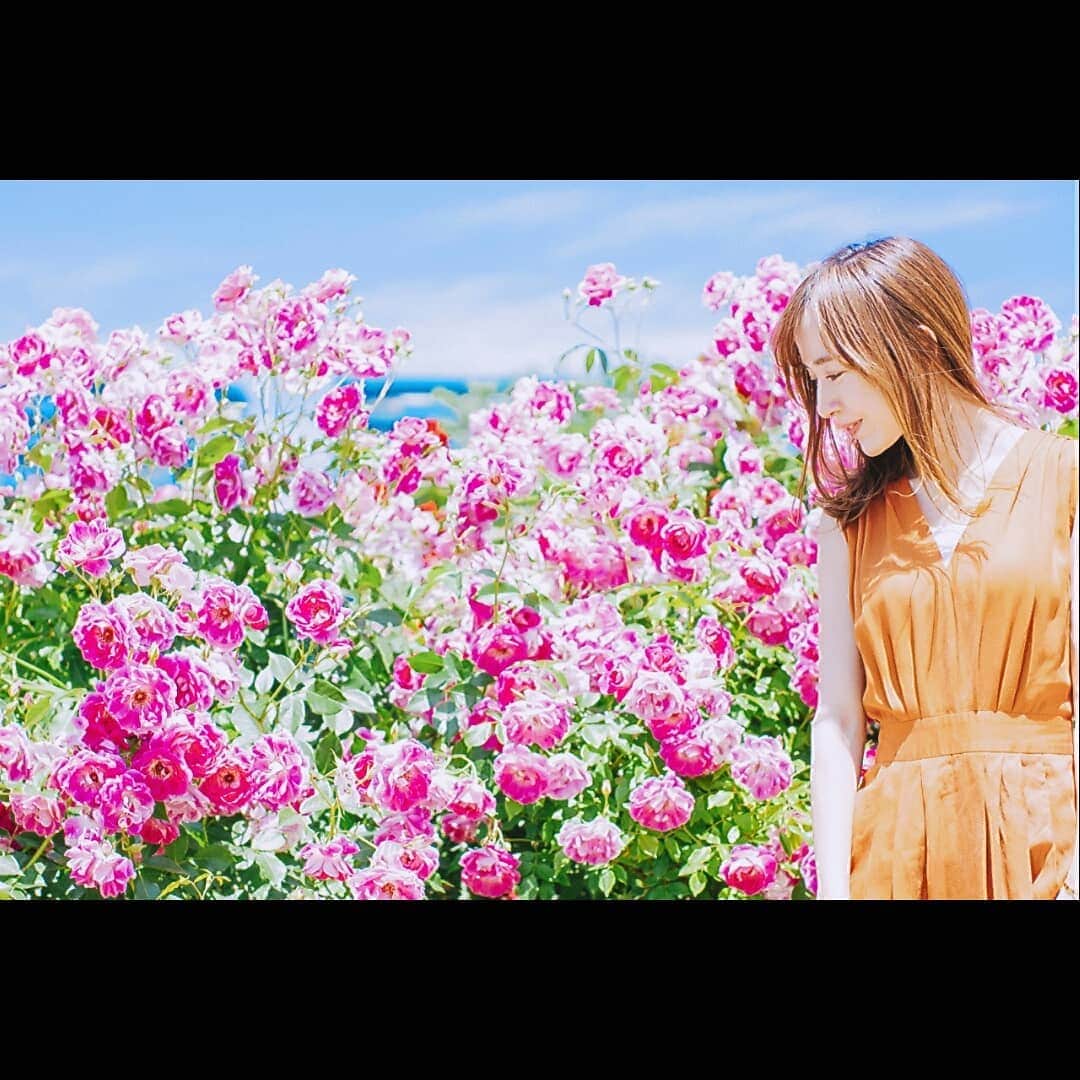 山川恵里佳さんのインスタグラム写真 - (山川恵里佳Instagram)「🌹 🌹 バラの香りってリラックス効果や美肌効果、老化防止やホルモンバランスまで整えてくれるみたい♡女性にイイコトだらけ♡ 🌹 🌹 🌹 #京成バラ園 #バラ #こんなに女性にいいのならバラ園住みたい💕」6月4日 15時42分 - erika_3_official