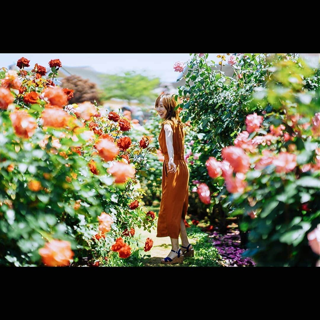 山川恵里佳さんのインスタグラム写真 - (山川恵里佳Instagram)「🌹 🌹 バラの香りってリラックス効果や美肌効果、老化防止やホルモンバランスまで整えてくれるみたい♡女性にイイコトだらけ♡ 🌹 🌹 🌹 #京成バラ園 #バラ #こんなに女性にいいのならバラ園住みたい💕」6月4日 15時42分 - erika_3_official