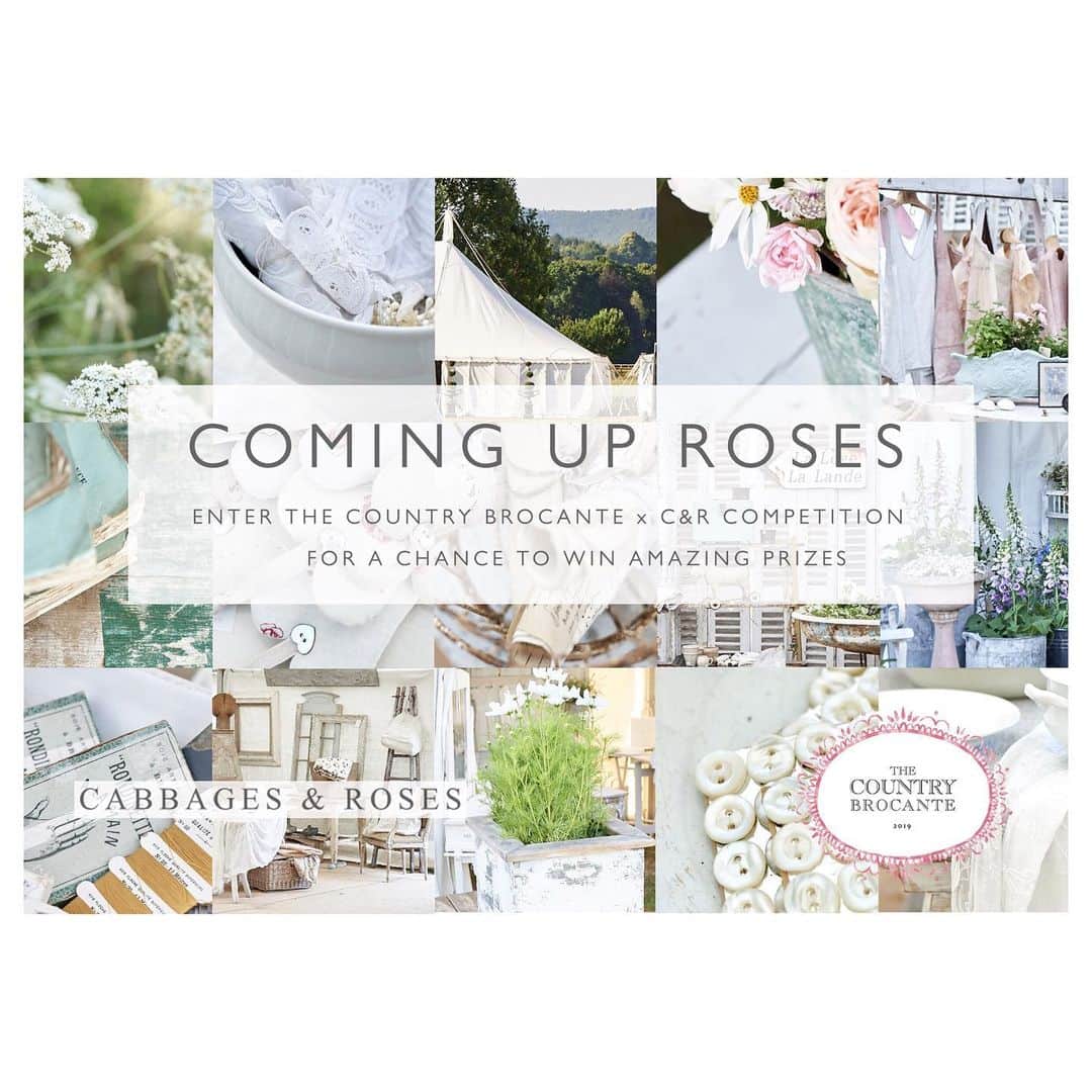 キャベジズ&ローゼズのインスタグラム：「❤ Competition Time ❤ To celebrate the return of The Summer Fair on June 14th and June 15th, enter The Country Brocante x Cabbages & Roses Competition for a chance to win 2 tickets to The Summer Fair at Parham House & Gardens,  a copy of Lucy Haywood’s book Country Brocante Style, a copy of Christina Strutt’s book Living Life Beautifully and a £100 Cabbages & Roses voucher. To enter our competition, make sure you follow @thecountrybrocante, @thecountrybrocantestore, @cabbages_and_roses and @cabbagesandroses_shop, and tag us and a friend in the comments section below. The competition ends on Friday and a winner will be announced on Saturday. Good Luck! #cabbagesandroses #candrcompetition #countrybrocantestyle #thecountrybrocantesummerfair #westsussex #parhamhouseandgardens #competition #gottobeinittowinit #prizedraw #cabbagesandrosesfashion @christina_strutt @cabbagesandroses_shop」