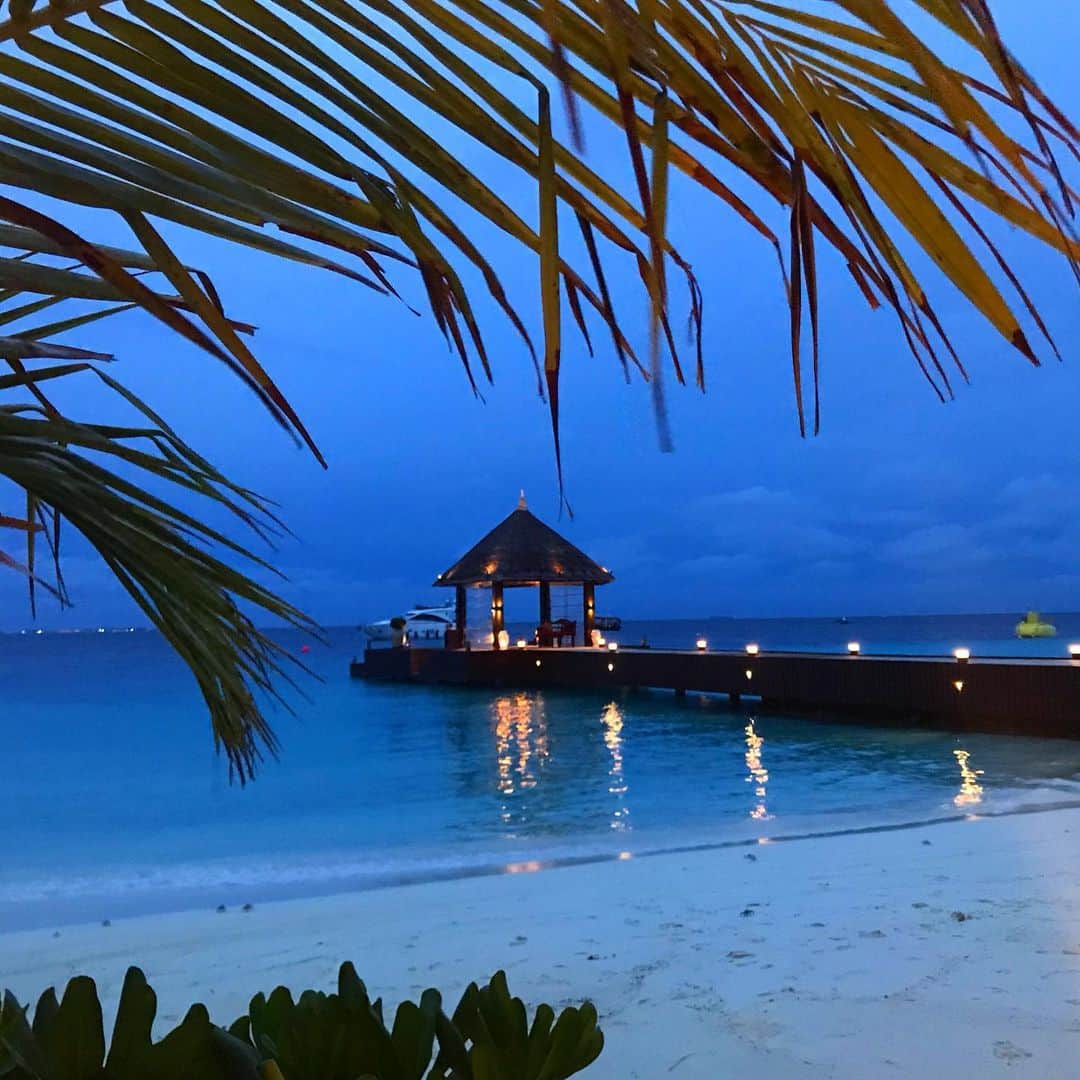 藤代冥砂さんのインスタグラム写真 - (藤代冥砂Instagram)「goodbye Maldives  #maldives #jumeilahvittaveli」6月5日 2時09分 - meisafujishiro