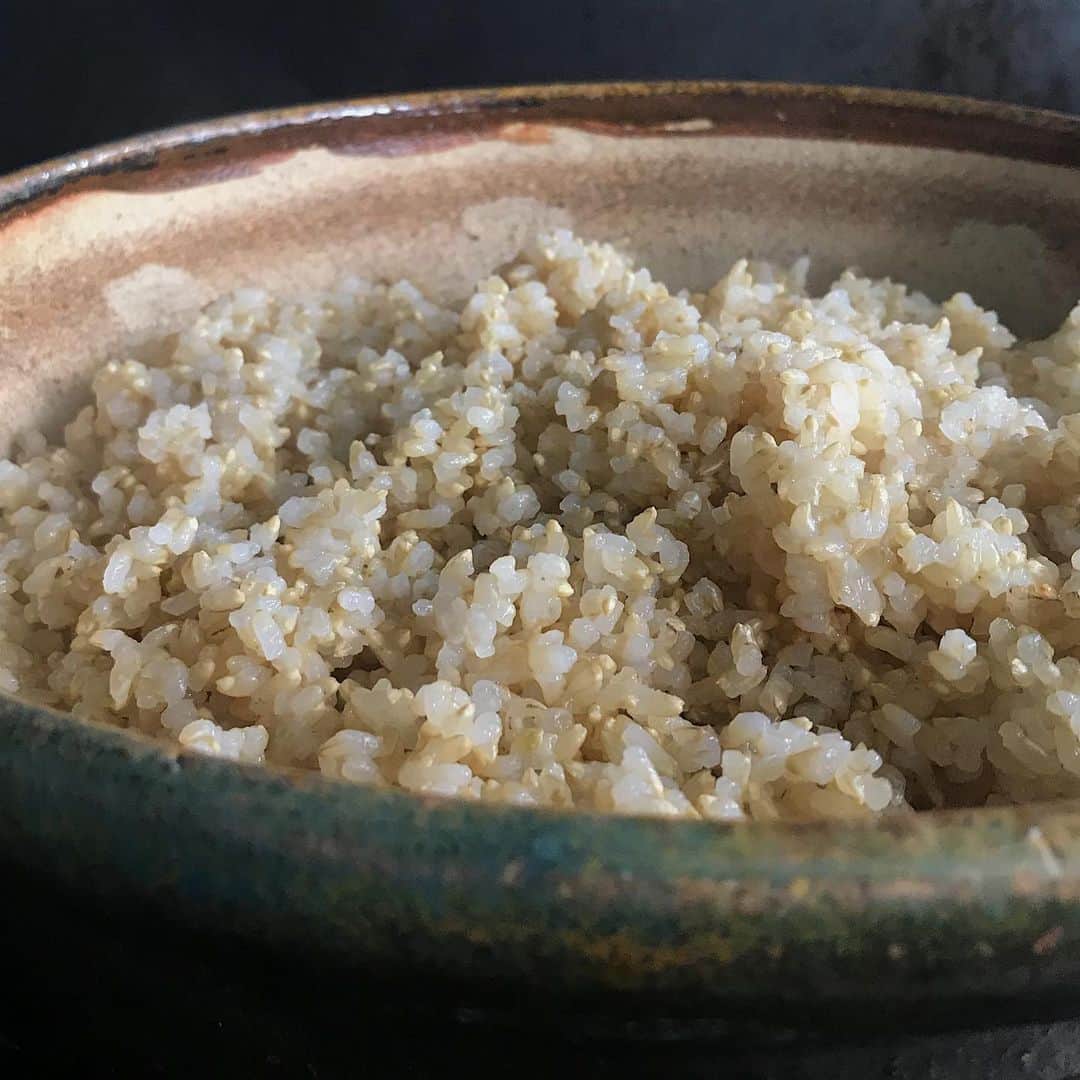 後藤しおりさんのインスタグラム写真 - (後藤しおりInstagram)「GINZA SIX / we work いつもお世話になっている方々へ。 今日はおむすび100個と肉料理と。青唐辛子醤油の焼きおむすびや、胡瓜味噌、海苔梅など。 毎日何度炊いても、何年炊き続けても、一回一回のお米を土鍋で炊く喜びは変わらず。稲は本当に素晴らしい。」6月4日 18時08分 - shiorigoto_tou