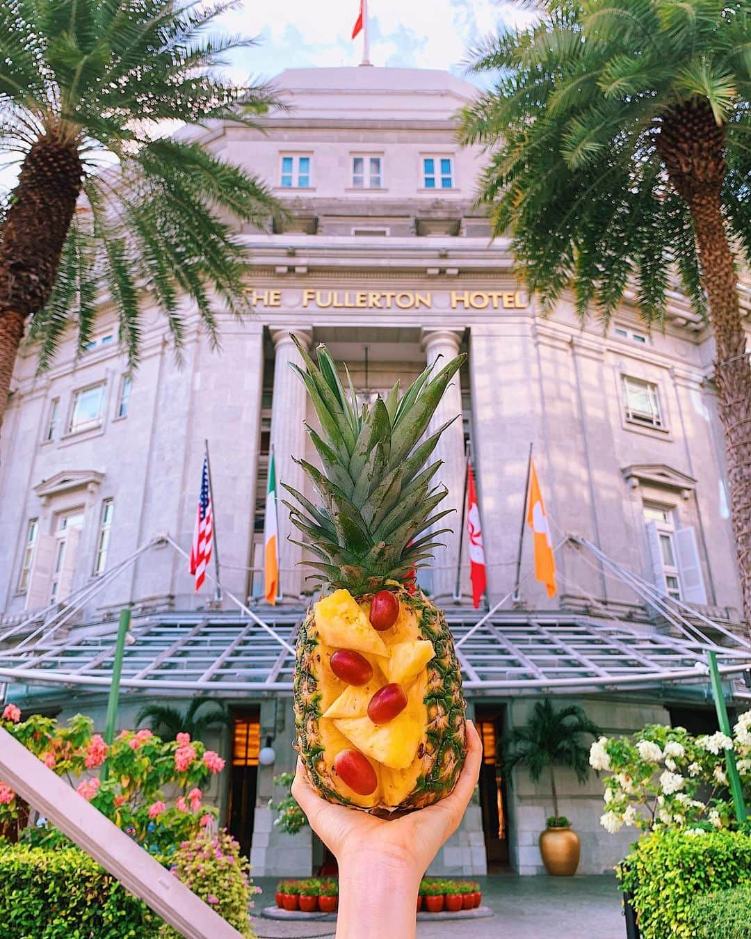 Girleatworldのインスタグラム：「**GIVEAWAY ALERT** 🍍 Did you know that the pineapple is the international emblem of hospitality? This is a Pineapple in front of the iconic Fullerton Hotel in Singapore, a member of Preferred Hotels & Resorts.  I am excited to announce a very sweet partnership with Preferred Hotels & Resorts, the world’s largest independent hotel brand with over 750 hotel members worldwide, to celebrate #PreferredPineappleWeek.  Take a chance to win $500 worth of I Prefer points (or 'Pineapple Points') to spend on your next hotel break. Simply tag a friend in the comments who you’d like to bring along and follow @girleatworld and @preferredhotels. For a special bonus entry, sign-up to Preferred Hotels' I Prefer loyalty program through the link in my bio! 🔼 Contest ends on June 9 and is open worldwide.  If you've been to Singapore, you'll notice the Fullerton Hotel as one of the most prominent landmarks in the waterfront, right across the street from the Merlion statue. The Fullerton was originally built in 1928, and had been used for many purposes - the General Post Office, a hospital during the World War II, and the Inland Revenue Authority of Singapore (tax) headquarters, before finally being restored into a five-star luxury hotel in 2001.  Aside of being a symbol of hospitality, Pineapples are a symbol of luck and prosperity in Singapore. A popular ritual for moving into a new home is to roll a pineapple into the house which is thought to bring in prosperity and good luck into the new home.  Good luck!  #fullerton #shotoniphone #pineapple #hospitality #preferredhotels #thefullertonhotel #singapore #girleatworld #🍍 #ad」