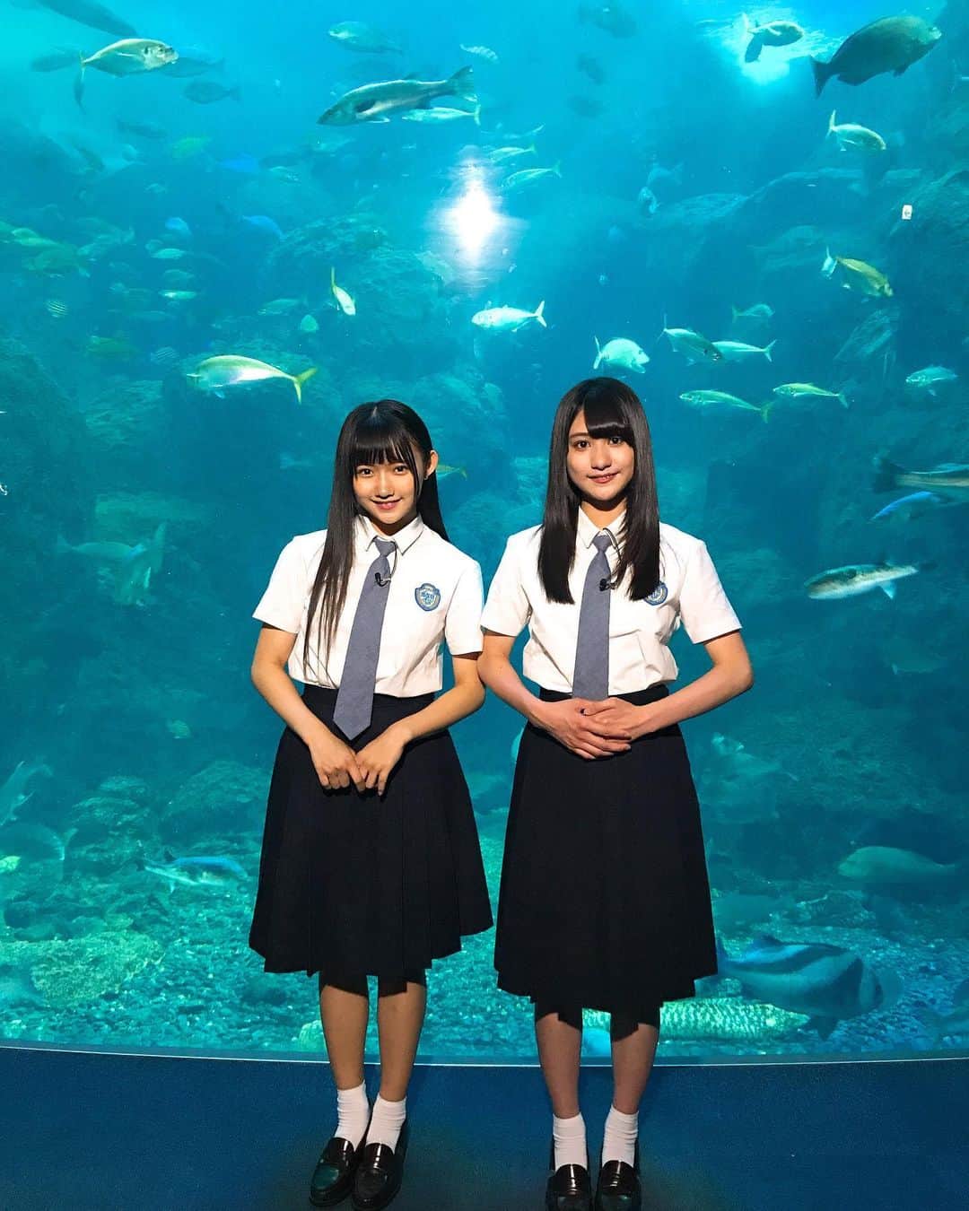 STU48さんのインスタグラム写真 - (STU48Instagram)「* な、なんと…！ 今週6/7(金)公開の 映画『海獣の子供』に、 マリーナ・みゆみゆがゲスト声優出演いたします🐟🐟 先ほど新江ノ島水族館さんで、発表させていただきました！！ ぜひ皆さま、 今週末は映画館へ…✨✨ * #6月7日 #全国公開  #海獣の子供  #STU48 #大谷満理奈 #門脇実優菜 #主題歌 #米津玄師 さん #海の幽霊」6月4日 19時07分 - stu48.official