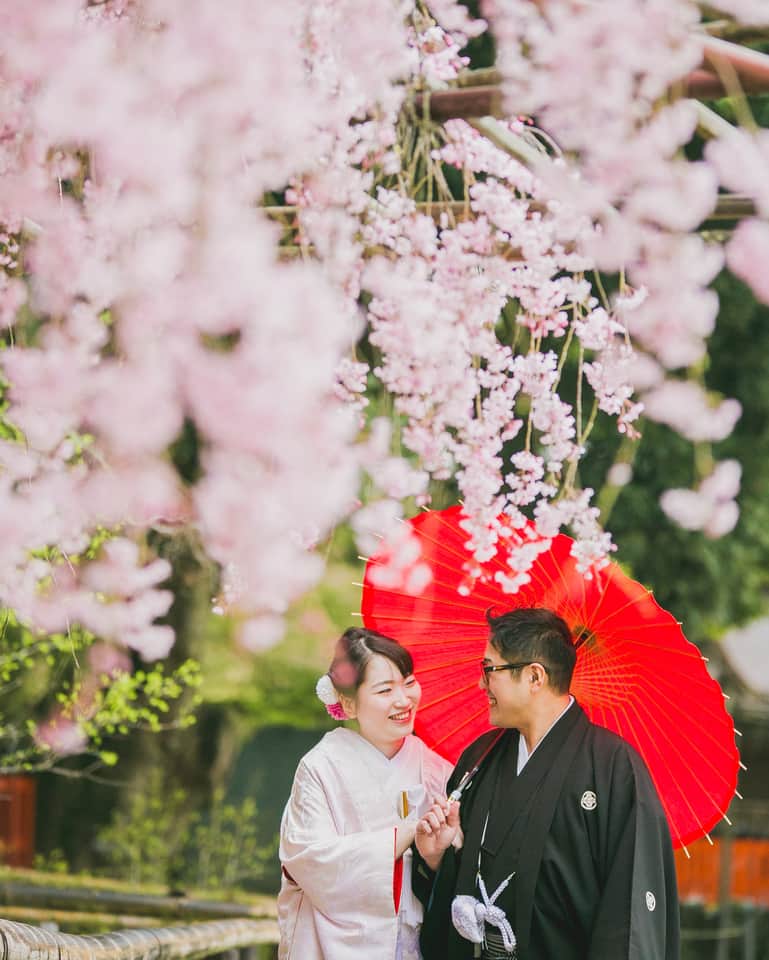 京都神社婚のインスタグラム：「桜をはじめとする、境内の季節の花と撮るロケーション撮影♪ 京都神社婚では、プランに当日境内でのロケーション撮影が含まれています◎ ※神社により境内での撮影ができないこともございます ・ ・ ・ #Kyoto#京都#Japan#和装#着物#白無垢#京都神社婚#和婚#神前式#神社挙式#結婚式#結婚#wedding#ウェディング#ブライダル#bridal#bride#結婚準備#結婚式準備#花嫁準備#プレ花嫁#花嫁#instawedding#幸せ#weddingphotographer#撮影#スタジオゼロ」