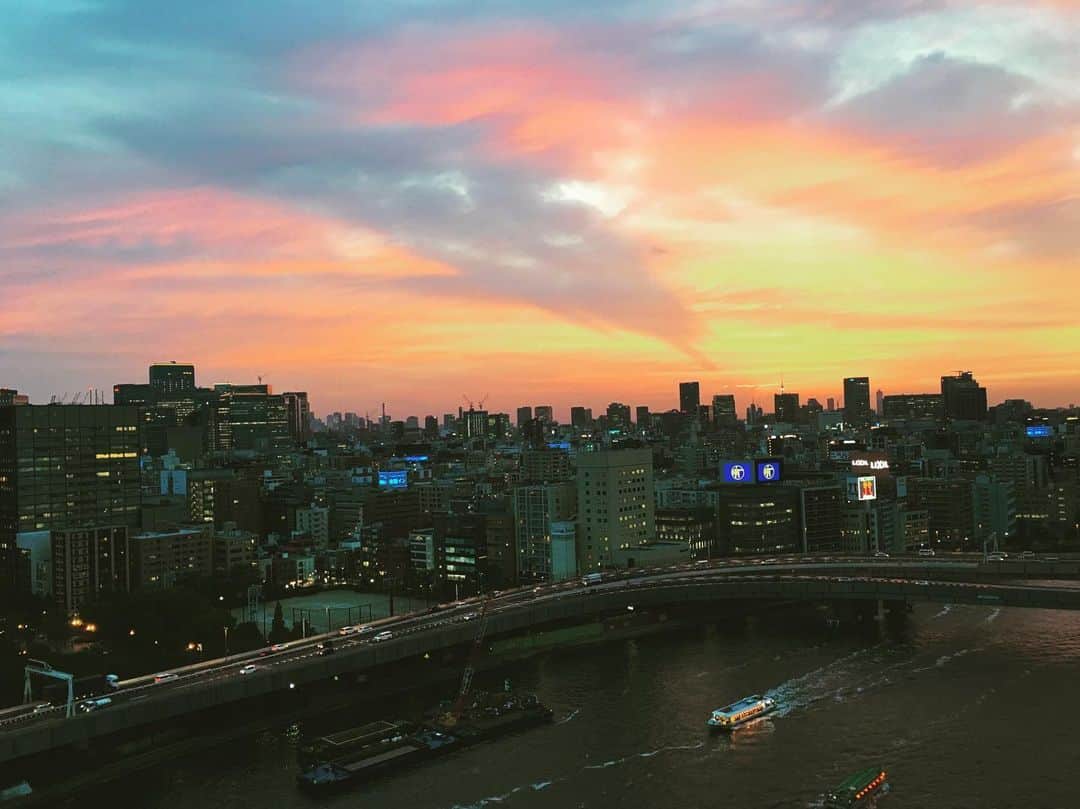 猫沢エミさんのインスタグラム写真 - (猫沢エミInstagram)「夕焼けってアホな恋愛みたいにすぐ燃え上がるのな。  そして、あっという間に醒めていく。  それでも恋は恋。 夕焼けは夕焼けなんですよ。  いのち短し、恋せよ乙女。  #東京下町時間 #多忙期あっぷあっぷ」6月4日 19時19分 - necozawaemi