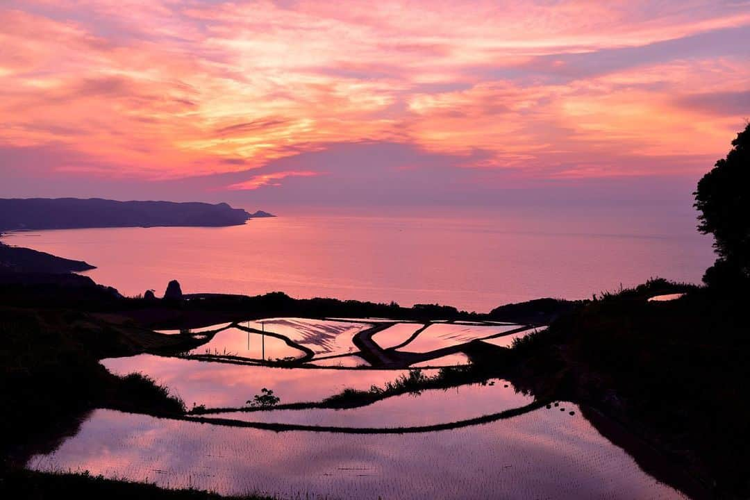 THE GATEさんのインスタグラム写真 - (THE GATEInstagram)「【Follow us! @thegate_japan】THE GATE is a website for all journeys in Japan. Follow @thegate_japan for japan travel inspiration! . Higashi Ushirobata Rice Terraces(#東後畑棚田(ひがしうしろばたたなだ) locate in #Yamaguchi prefecture(#山口県)’s northern coast. The rice terraces face the ocean, and the two come together to create a beautiful view🏖✨ . When the fields are flooded with water, they act as a mirror and reflect their surroundings and the sky. To get the best view with this effect, visiting at sunset is recommended, as the colorful skies and the setting sun reflects onto the rice fields. . Squid fishing in the nearby ocean is a thriving local business. During fishing season, the lights on the fishing boats are on after dark generating an unexpected but wonderful view. . Check more information about Japan. →@thegate_japan . #Japan #thegate_japan #travel #exploring #thegate #thegate_sunsets #visitjapan #sightseeing #ilovejapan #triptojapan #flowers #gardens #nature #beautifulnature #spring #springseason #beautifulsunset #RiceTerraces #ricefield #ocean #sunsetlover #sunsetviews」6月4日 19時23分 - thegate_travel