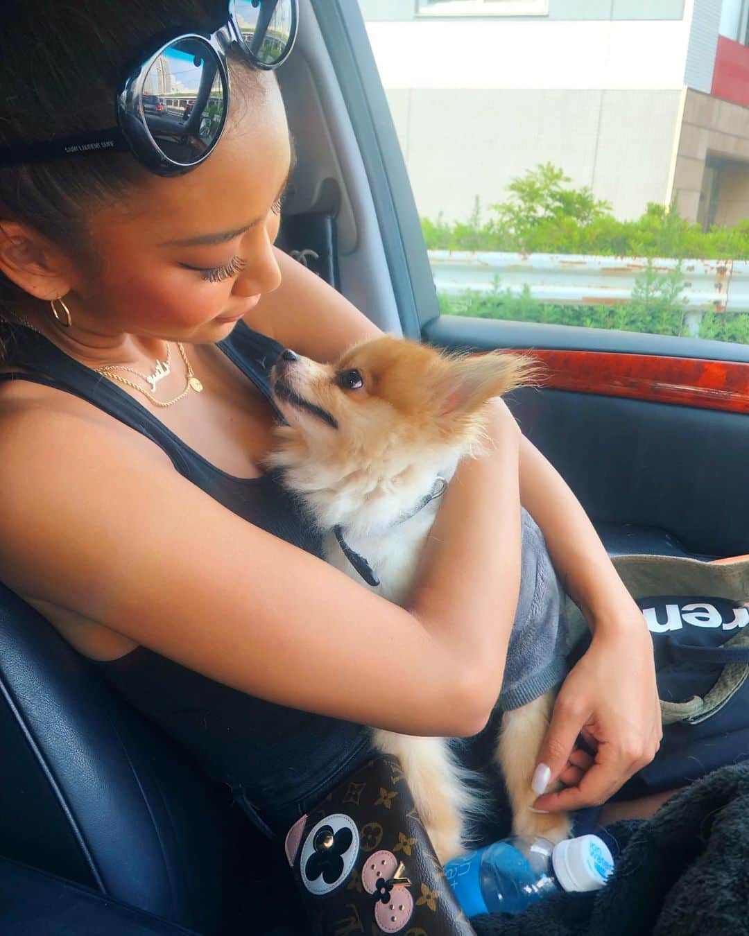 のインスタグラム：「leon🐕💕」