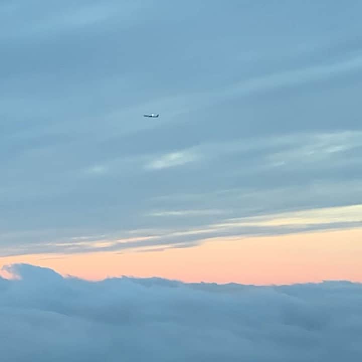 リウ・ウェンのインスタグラム：「#WenInFlight」