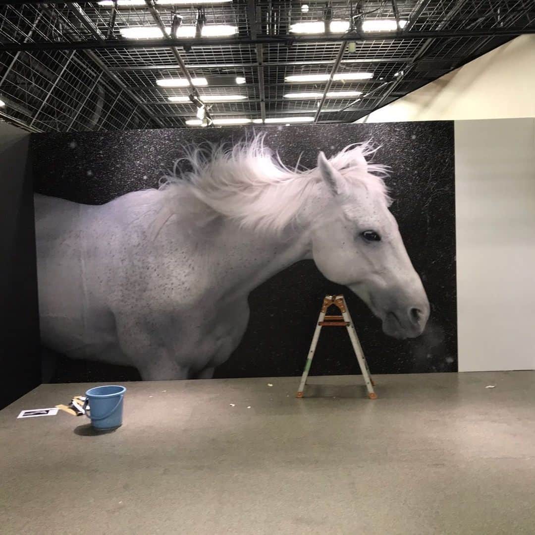 安珠のグルメインスタ