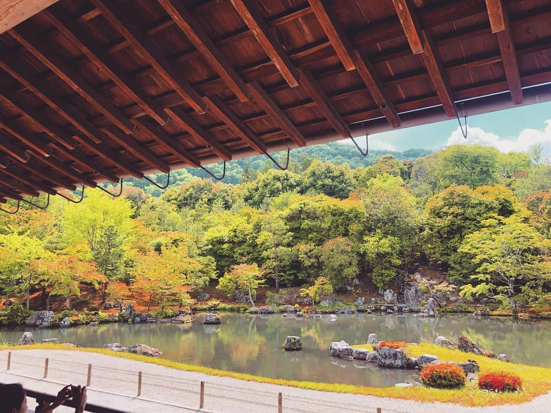 高田あゆみさんのインスタグラム写真 - (高田あゆみInstagram)「#天龍寺 #京都#kyoto#観光#ひとり旅#趣味#walk #女子#女子旅#世界文化遺産#文化遺産」6月4日 19時47分 - ayumitakada1020