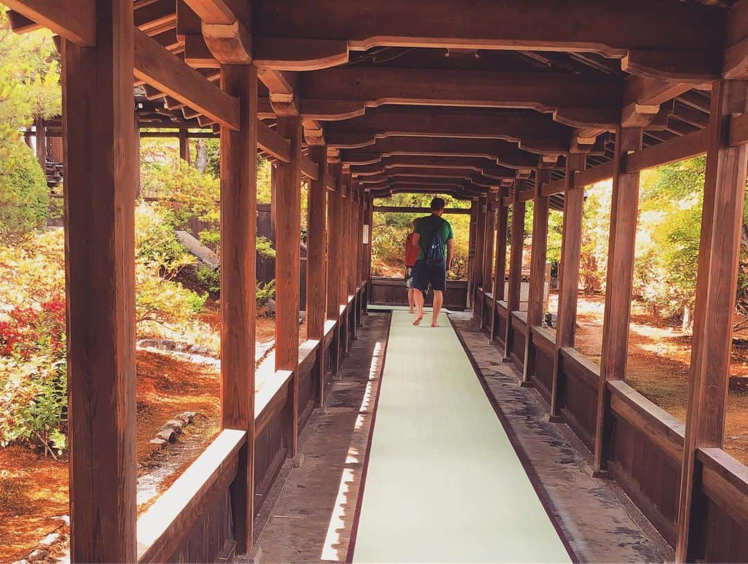 高田あゆみさんのインスタグラム写真 - (高田あゆみInstagram)「#天龍寺 #京都#kyoto#観光#ひとり旅#趣味#walk #女子#女子旅#世界文化遺産#文化遺産」6月4日 19時47分 - ayumitakada1020