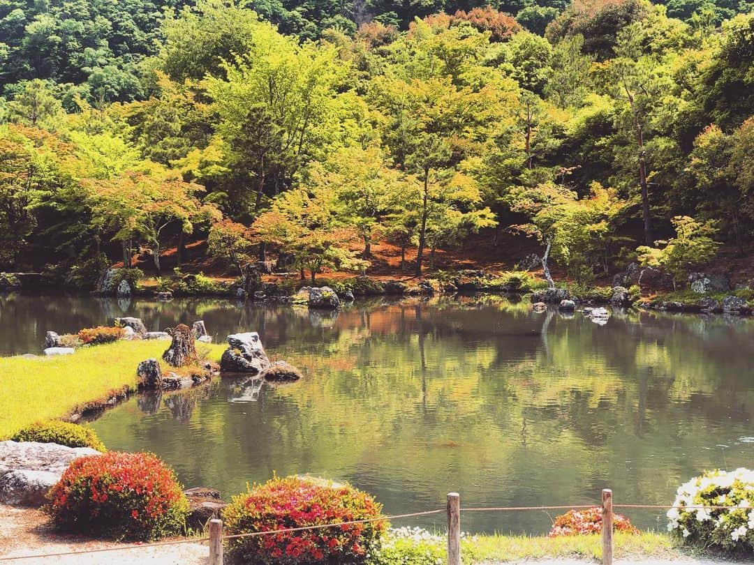 高田あゆみさんのインスタグラム写真 - (高田あゆみInstagram)「#天龍寺 #京都#kyoto#観光#ひとり旅#趣味#walk #女子#女子旅#世界文化遺産#文化遺産」6月4日 19時47分 - ayumitakada1020