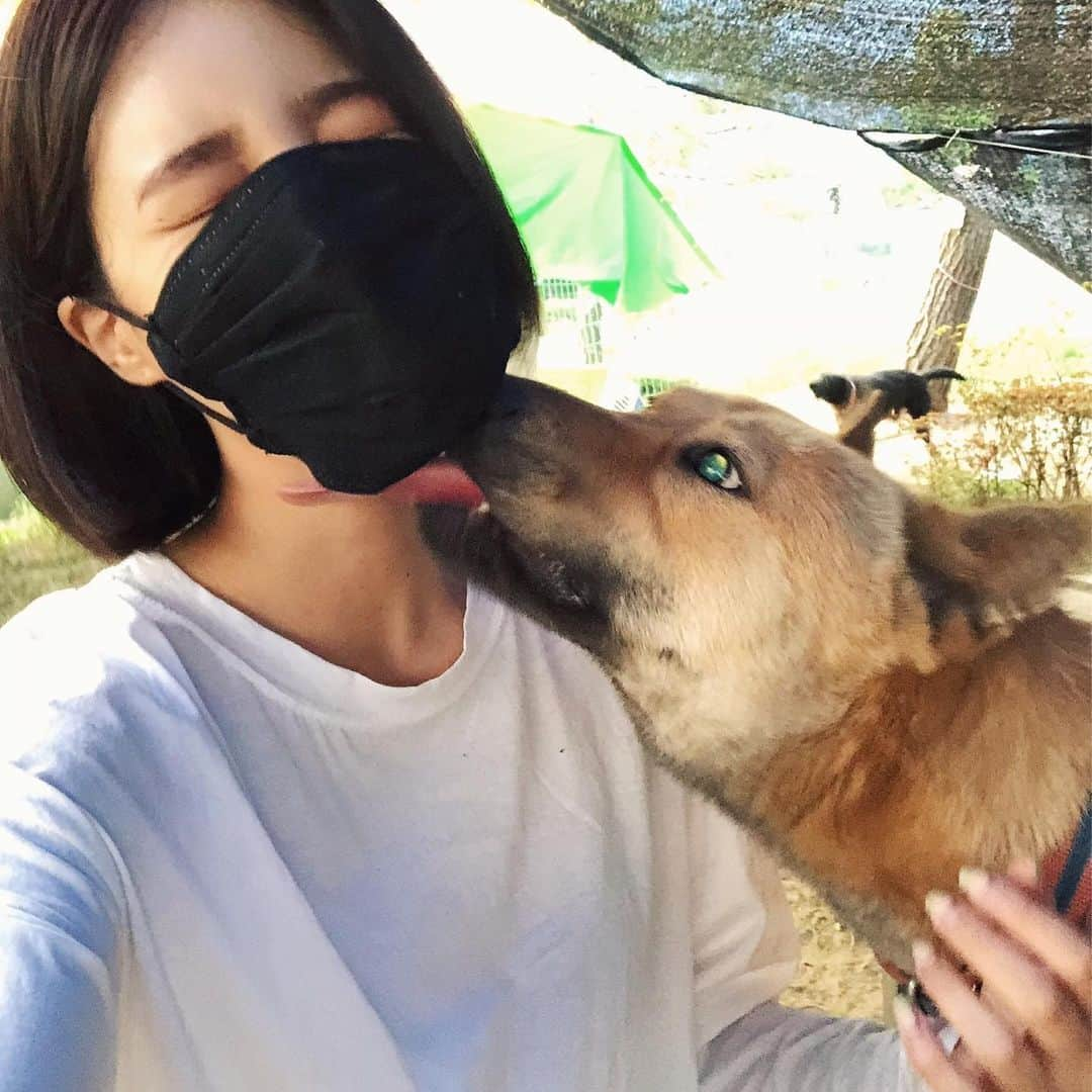 カン・ヘヨンさんのインスタグラム写真 - (カン・ヘヨンInstagram)「저는 오늘 #양산개농장 에서 구조 된 아이들이 있는 #국회의사당 에 다녀왔어요  서울 한복판에 이렇게 아이들이 있을줄이야 정말 놀랬어요  갈 곳 없이 천막아래 모여있는 많은 아이들 사람에게 상처를 받았음에도 사람들을 너무 좋아하는 아이들  다들 너무너무 수고 많으시고 멋있으신 분들... (텐트치고 아이들이랑 밖에서 같이 주무신다고..ㅠㅠ) 오늘 잠깐이나마 다녀왔는데 저는 또 갈거에요! 기약없이 아이들 입양처가 정해질때까지 있다고 들었어요ㅠㅠ  너희는 언제 따듯한 집에서 무한한 사랑을 받으며 지낼수 있을까  장난감도 좋아하고 뽀뽀도 좋아하구 똥꼬발랄♥️ #개농장 아이들도 다른 반려견들처럼 이렇게나 사랑스럽고 착해요  봉사하러 오실 시간이 없으시다면 후원이라도 좋아요 카카오 7979-1078-961 (김지영) 단 돈 오천원, 만원이어도 좋으니 아이들 치료비, 약값, 사료값, 봉사자분들의 조금 더 나은 봉사를 위해 같이 참여해주셨으면 정말 정말 정말!! 너무나 감사하겠습니다  평소 저한테 후원하고 싶으나 잘 모르시겠다고 하셨던 분들! 양산 개농장 아이들을 위해 조금이나마 후원해주셨으면해요😭♥️♥️♥️ (이렇게나마 많은 분들이 #유기견 #개농장 #번식견 들에 대해 아셨으면.. 알고 계셨으면이라도 해요)」6月4日 20時08分 - mangdoo_noona