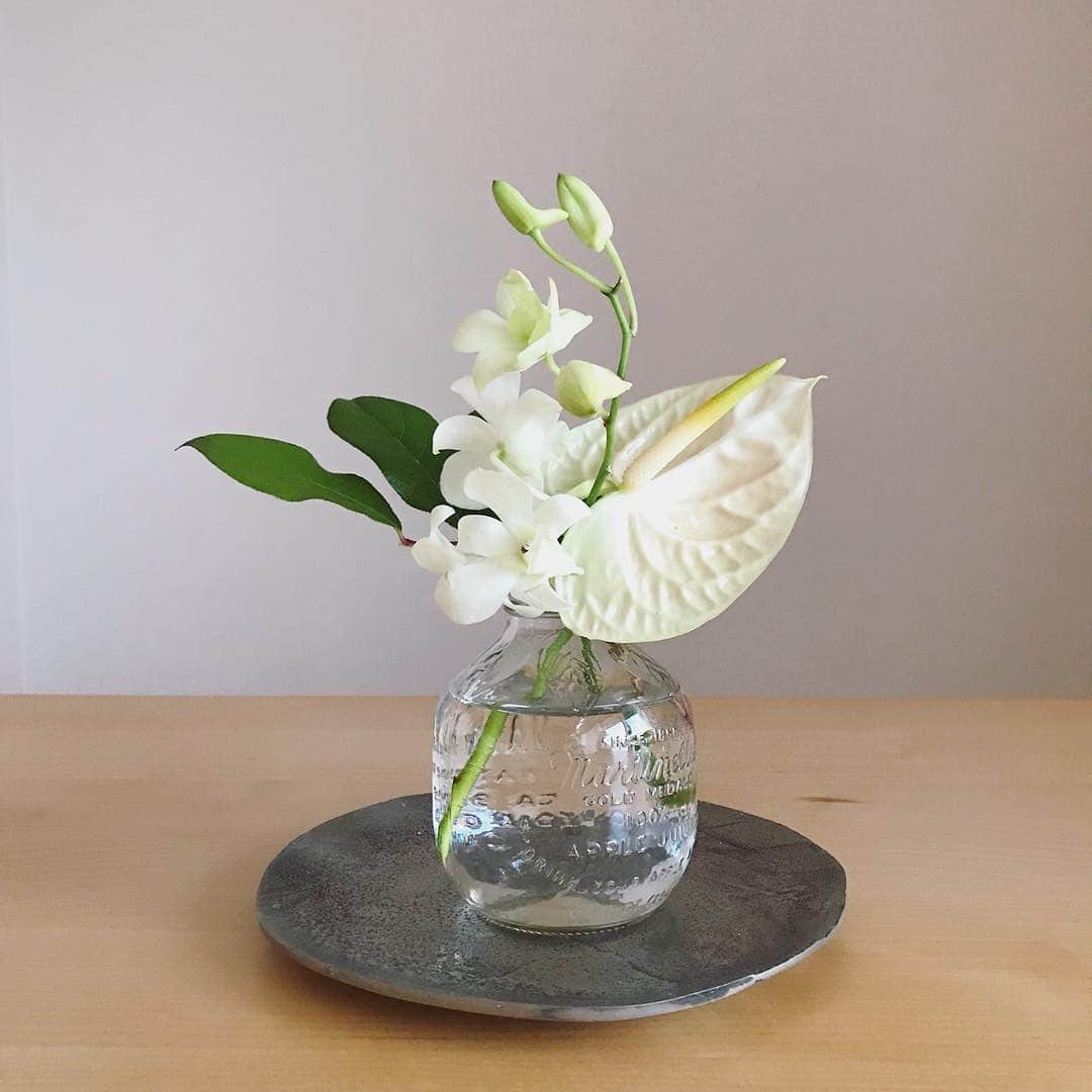 Bloomee LIFEさんのインスタグラム写真 - (Bloomee LIFEInstagram)「・ 大好きな白とグリーンの組み合わせ◯🌿 ・ 梅雨の時期は、家の中もジメジメし、 気持ちもどんより下がり気味 でも、ちょっとお花を飾るだけで 心が癒され、 明るく楽しい気持ちになります🌸 ・ Special Thanks Photo by @meg1006t @i.mimosa__ ・ --- #まいにちローズ 🌹--- タイムラインにバラを咲かせて、まいにち当たるミニブーケをもらおう！ ・ 知っていますか？6月2日はローズの日💓 ローズの日は、自然の恵みに感謝を示す、海外のバラ祭りが元になった記念日です。 日本でも、バラが美しく咲くこの季節。 たくさんの人にお花の素晴らしさを伝えたい。 ・ バラの画像を投稿して、Instagramのタイムラインに咲かせることで、 お花の魅力を一緒に広めてみませんか？ ・ 詳しくは下記 or プロフィールトップのハイライトをチェック👌 ↓↓↓ ■プレゼント：#まいにちローズ で投稿した人の中から抽選で【まいにち1人にバラのミニブーケ】が当たる✨ ■参加方法： ①@bloomeelife をフォロー ②欲しい色のバラ画像を用意(キャンペーン公式ページで誰でも使えるオフィシャル画像を配布中) ③#まいにちローズ #bloomeelife を付けて投稿 ・ 当選者の方にはbloomee LIFE 公式アカウントよりDMにてご連絡させていただきます💌 ・⠀ #bloomeelife#ブルーミーライフ#花のある生活#花好きな人と繋がりたい#おうち時間#花部#花写真#花が好き#花を飾る#暮らしを楽しむ#日々の暮らし#丁寧な暮らし#日々#お花のある暮らし#ナチュラル#素敵な休日#暮らしを整える#くらしのきほん#日々の暮らしを楽しむ#丁寧に暮らす#ローズガーデン#ローズ#バラ#ミニブーケ#シンプルライフ#すっきり暮らす#ナチュラルな暮らし#ナチュラルインテリア#シンプルインテリア」6月4日 20時25分 - bloomee