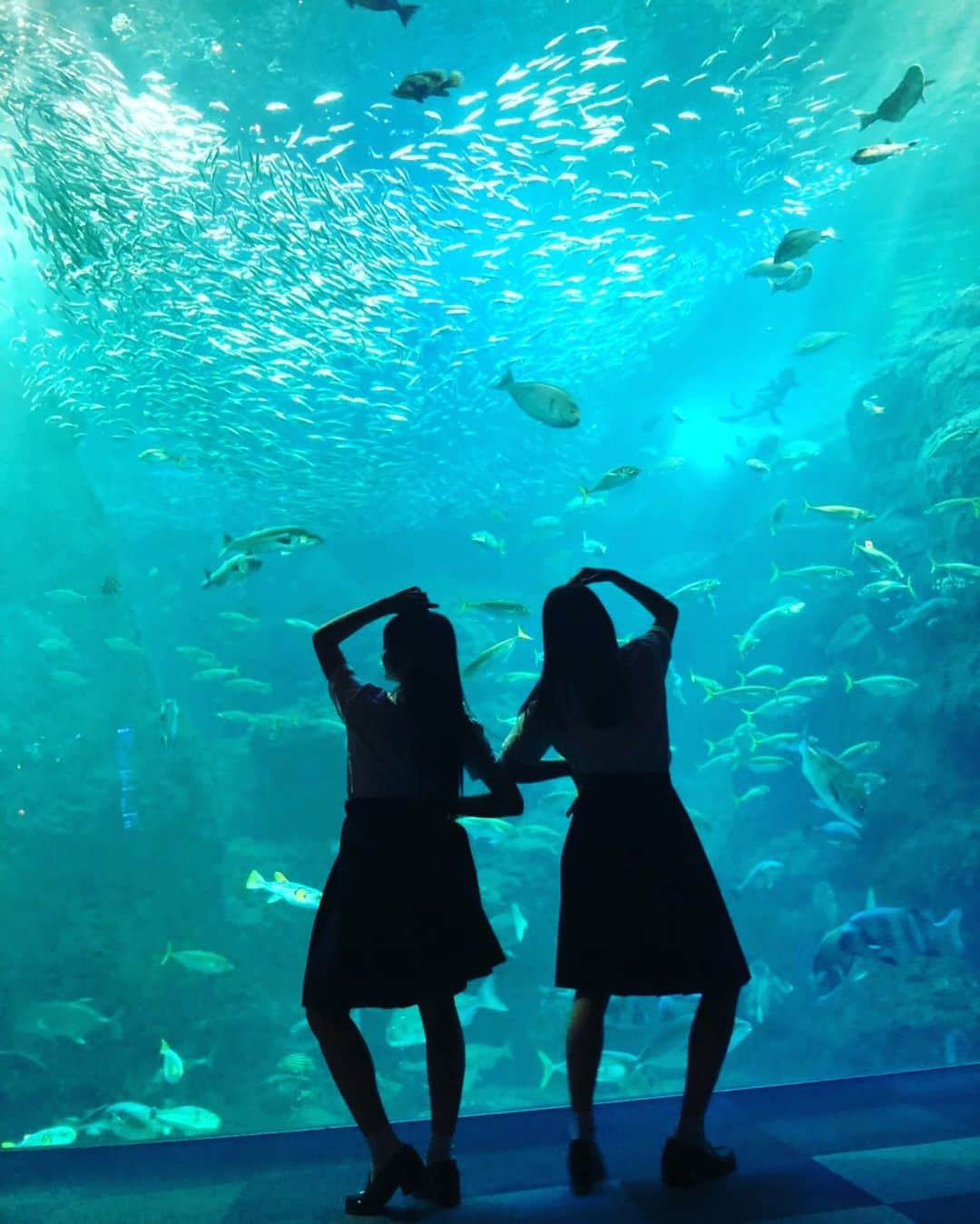 STU48さんのインスタグラム写真 - (STU48Instagram)「* 新江ノ島水族館、、楽しかったです！ 皆様もぜひぜひ足を運んでみてくださいね🐟✨ * #新江ノ島水族館  #STU48 #門脇実優菜  #大谷満理奈  #海獣の子供 #6月7日 #全国公開 #主題歌  #米津玄師 さん #海の幽霊」6月4日 20時41分 - stu48.official