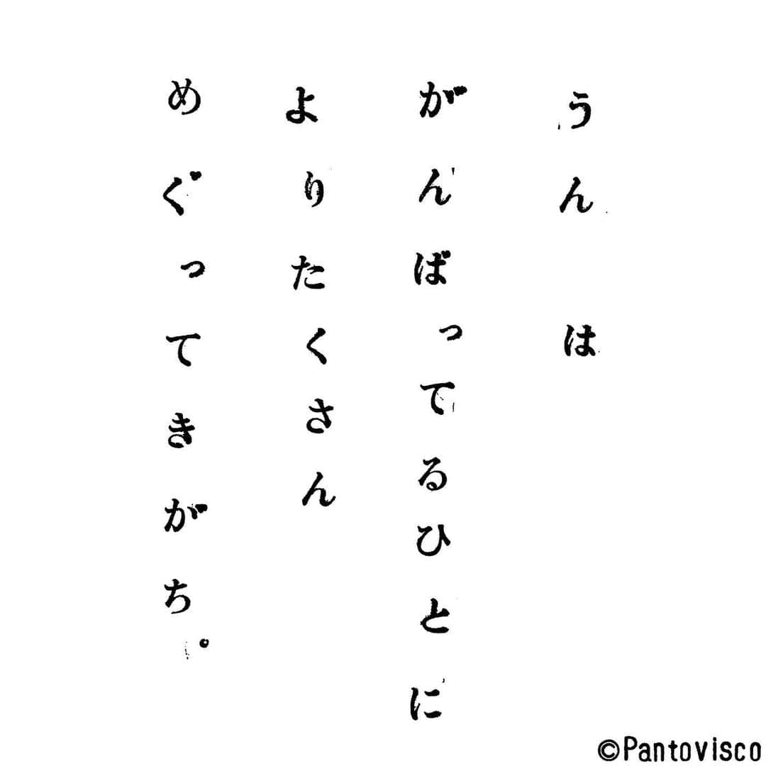 pantoviscoさんのインスタグラム写真 - (pantoviscoInstagram)「「運」 #乙女に捧げるレクイエム その741」6月4日 20時45分 - pantovisco