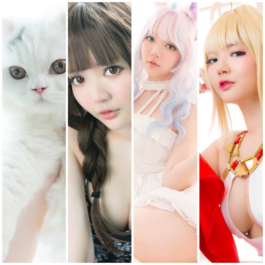 YingTzeさんのインスタグラム写真 - (YingTzeInstagram)「June 2019 Patreon Rewards ! 🐱❤️ It’s my Birthday Month so there will be 4 sets : Two regular sets + 2 bonus sets ! ▶️ www.patreon.com/yingtze _ Tier 10 : Sleeping Unicorn ( 28 photos ) Tier 20 : Girl At Home ( 28 photos ) Bonus Set 1 : Lancelot & I ( 16 photos ) Bonus Set 2 : Saber Nero ( 40 photos ) — Check out my IG Story for more preview ~ Rewards will be released on the 5th June ! ❤️🐱 📸 @17.ambition  #blessed #ytzoriginals #cosplaygirls #fategrandorder #catsmalaysia #patreoncreator」6月4日 20時53分 - yingtze