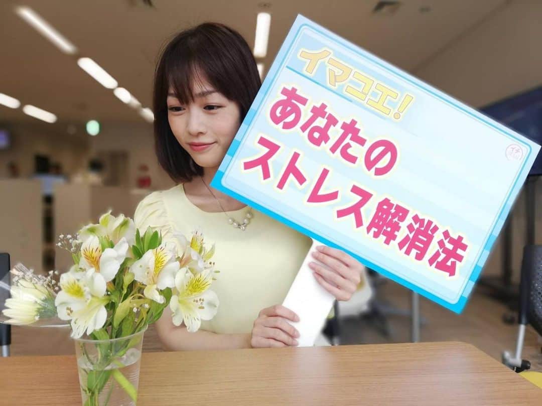 高橋春花のインスタグラム：「． 【募集】 みなさんの ストレス解消法を教えてください！！ 元気が出ない〜気が重い〜 そんな６月病になる前に！ どうやってストレス解消していますか？ 人には言えない秘密の解消法も大募集！！！ #ご意見募集#イマコエ #ストレス解消 #花を愛でる #コーヒーミルで挽かれてだんだん減っていく豆を見つめる #わたしの解消法 #暗め #高橋春花#HTB」