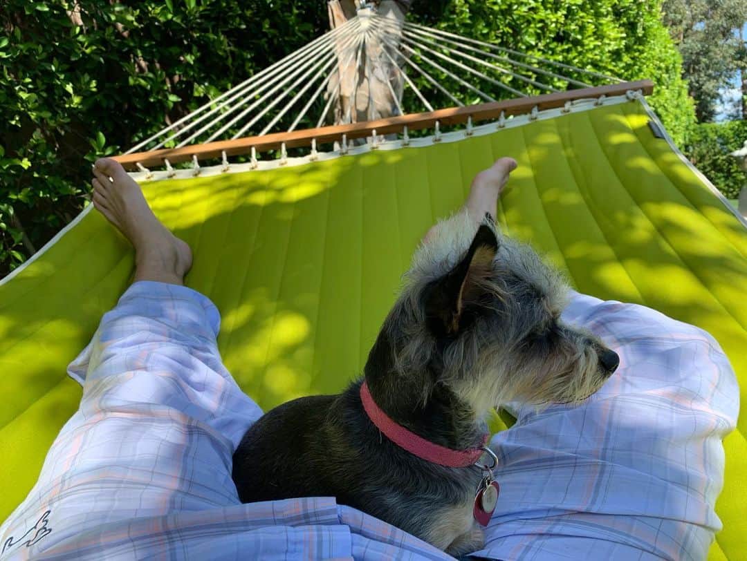 ジョン・バロウマンさんのインスタグラム写真 - (ジョン・バロウマンInstagram)「#hammock approval by the #dogs especially Dixie. Jb」6月5日 2時48分 - johnscotbarrowman