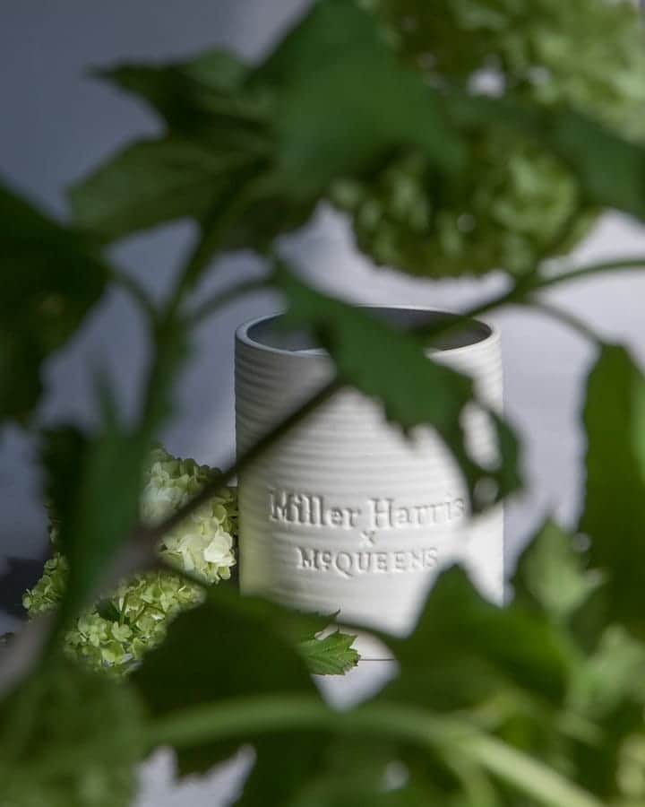 のインスタグラム：「Discarded foliage exudes herby notes and aromatic lavender is strewn on benches, creating a green, powdery, safe and peaceful scent.  #GreenStem #MillerHarrisXMcQueens」