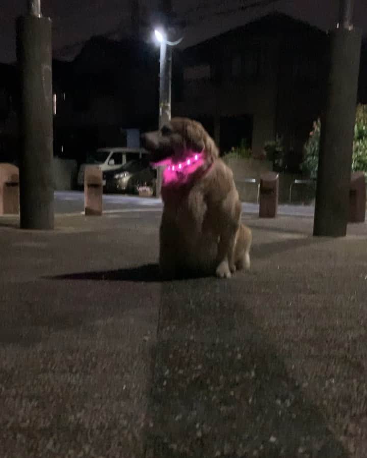 まゆみのインスタグラム