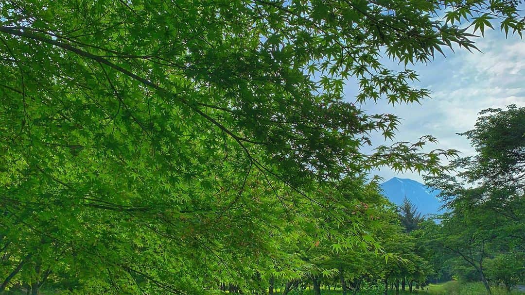 phantastic420のインスタグラム：「. 🤩🤩“Shizuoka” prefecture in Japan is a place where you can see the most “phantastic” Mt. Fuji🗻 in the world.🤩 #富士山 #mtfuji #japan #shizuoka #fujinomiya  #phantastic420photography #mostphantasticmtfuji #selamatpagi  #goodmorning  #おはようございます 😇😇😇😇😇😇😇🗻😇😇」