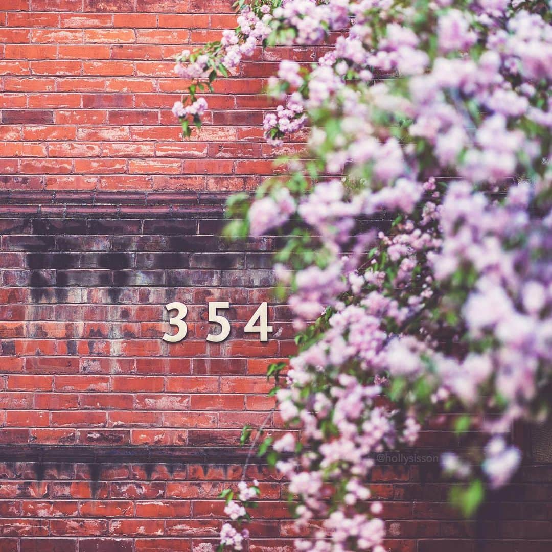 Holly Sissonのインスタグラム：「354 #toronto #spring ~ Canon 1D X MkII + 85 f1.4L IS @ f1.6 (See my bio for full camera equipment information plus info on how I process my images. 😊)」