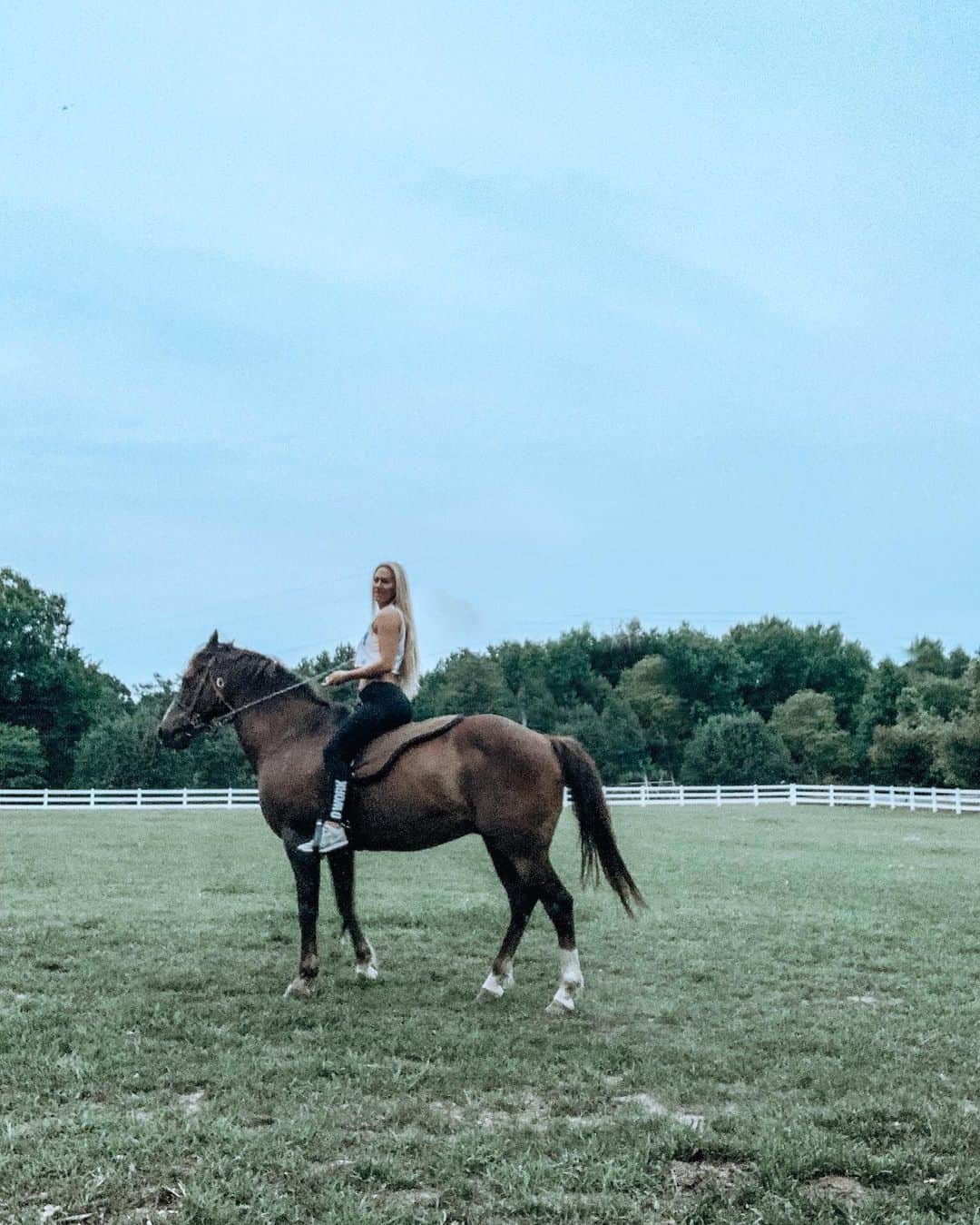 Kindly Myersさんのインスタグラム写真 - (Kindly MyersInstagram)「We get along great. As long as i don’t get on his back. I love Cowboy however he is too green for me to ride.」6月5日 0時11分 - kindlymyers