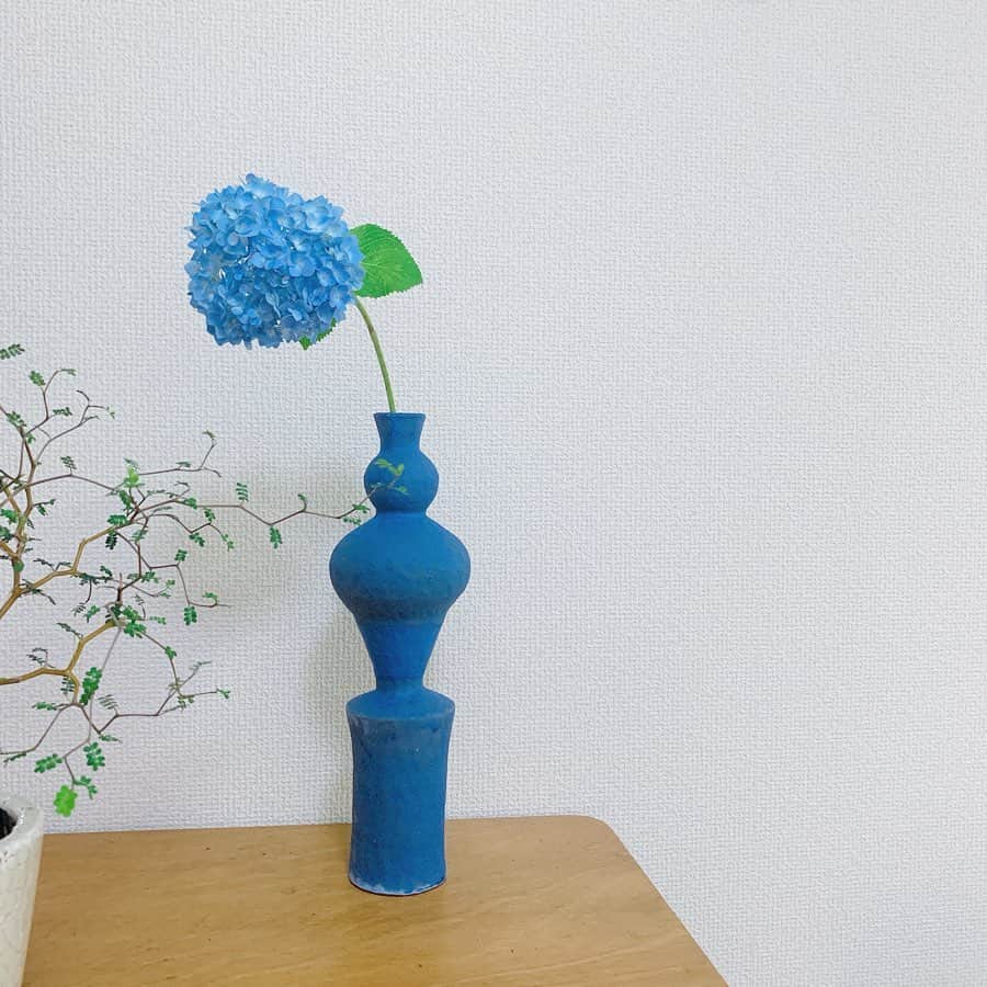 久保陽香さんのインスタグラム写真 - (久保陽香Instagram)「. IDÉE SHOP 自由が丘店で開催されている 彫刻家 坂本紬野子さんの個展に行ってきました。 @chinokosakamoto  この青の花瓶を。 ほんとにどれにするか迷いました。 どれも素敵で。 帰りに綺麗な紫陽花があったので。 玄関がとっても素敵になりました。  坂本紬野子さんの個展は6/17まで。 とても素敵なのでよかったら是非に。  #idée #イデー #ideeshopjiyugaoka  #彫刻家 #坂本紬野子 #くぼお花 #紫陽花」6月5日 10時30分 - kubo_haru