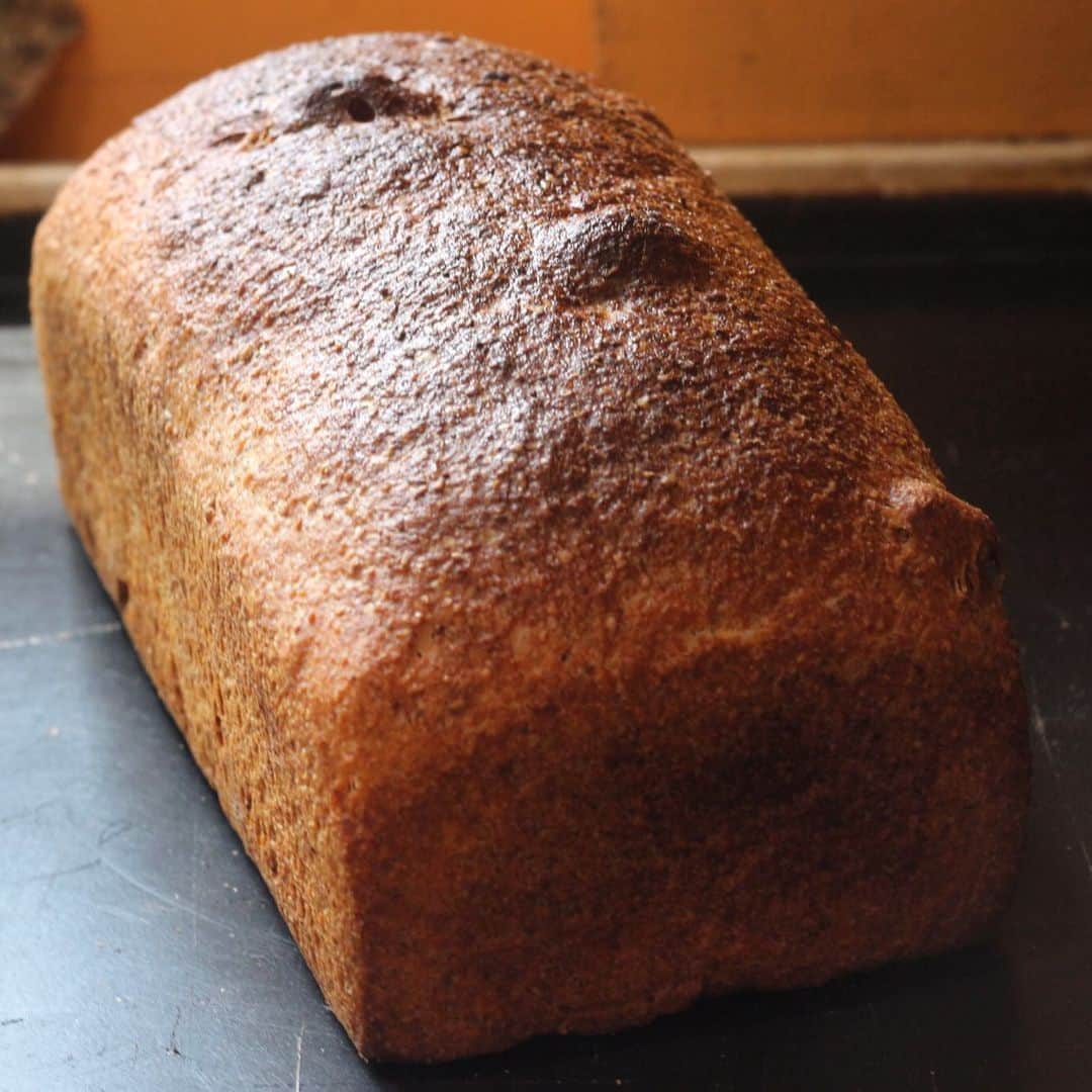 魔女菅原のグルメインスタ