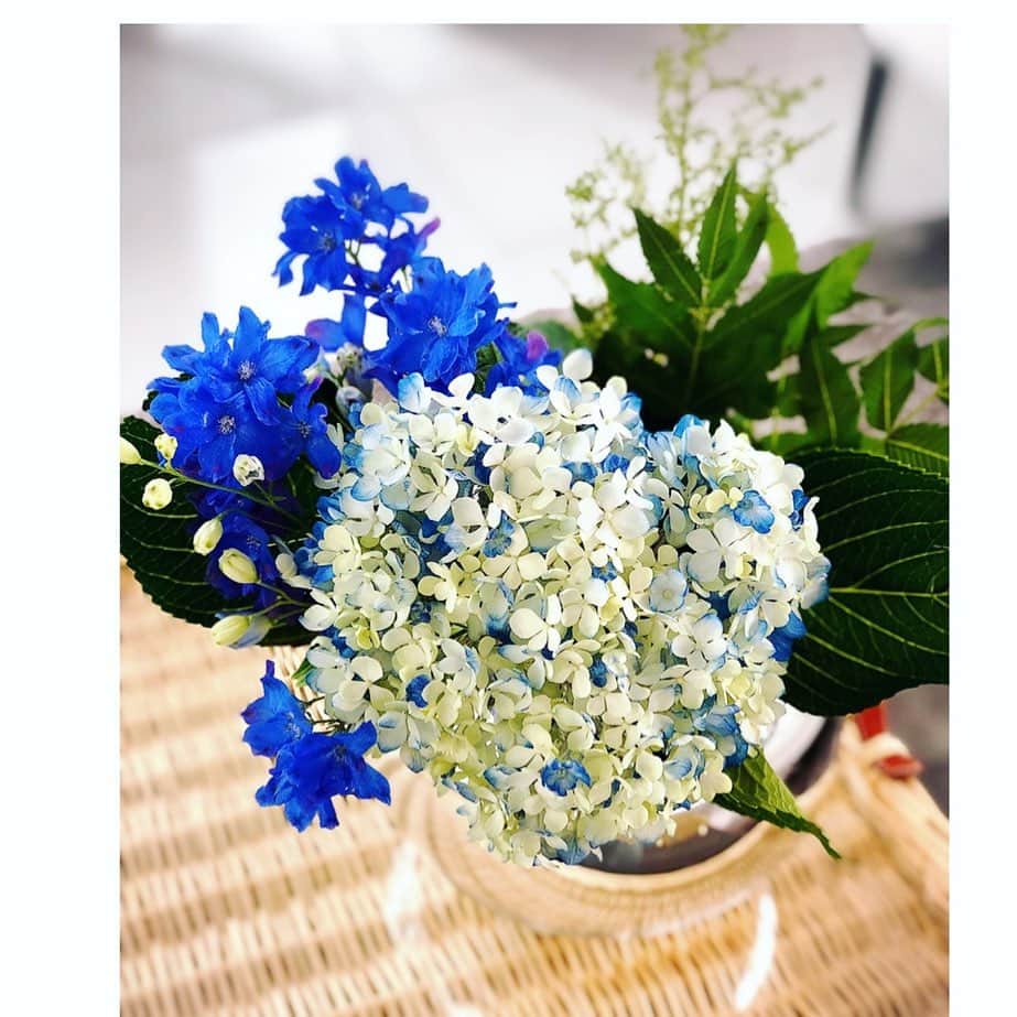 望月理恵さんのインスタグラム写真 - (望月理恵Instagram)「紫陽花の季節  ブルーが混じった紫陽花。 一目惚れして買ってしまいました。  街中にも紫陽花がたくさん」6月5日 11時13分 - mochiee28