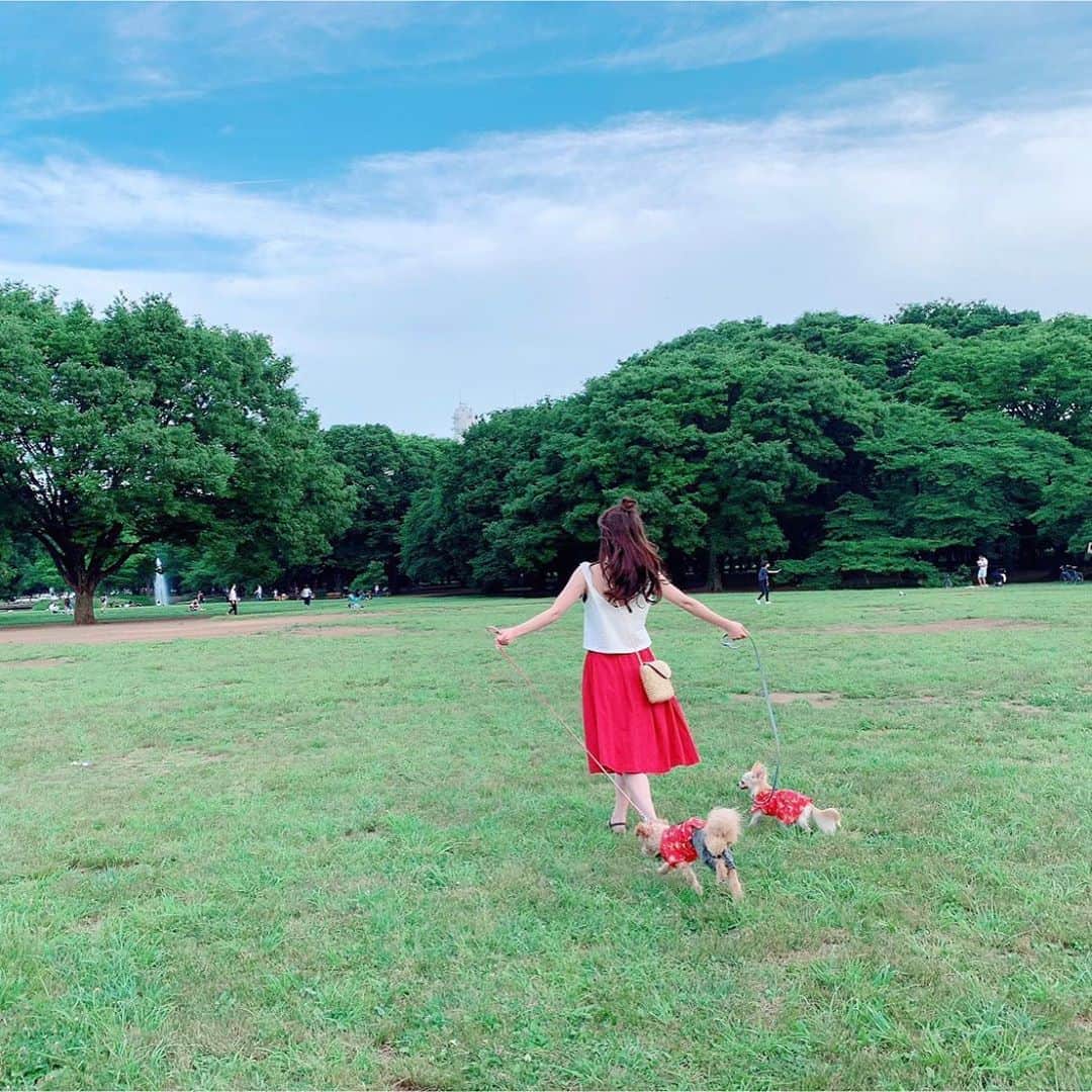 堀尾実咲のインスタグラム：「#gm 🐻🐰💖」