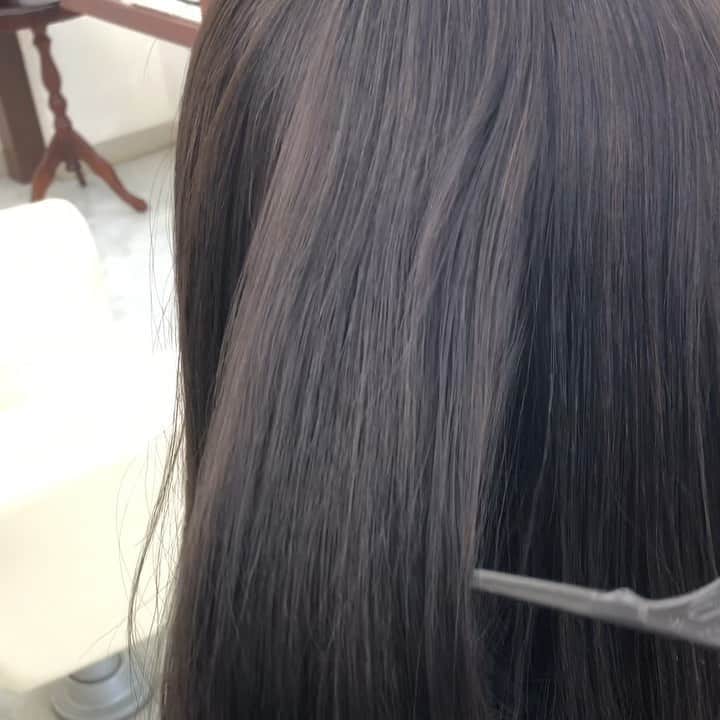 のインスタグラム：「時差投稿ですが、また暗髪に戻しました！ 今回も大好きイノアカラーで👏 大塚さんにやってもらいました！ @marshi1030 . そして大塚さん、5月をもってBeetle系列のお店を卒業したそうです！ そう！ついに！独立！ . ということで6/23に新店が 広面昼寝(時代屋とか鷹島の近く🍜)にオープン予定だそうです💡 . インスタアカウントも開設したようですので、みなさんもチェックしてみてください☆ @velumhairdesign . オープン楽しみにしています🥰 . #akita #hair #美容室 #beetle #大塚雅詩 さん @dsence1201  #イノアカラー #flowdia #暗髪 #艶 #さらさら」