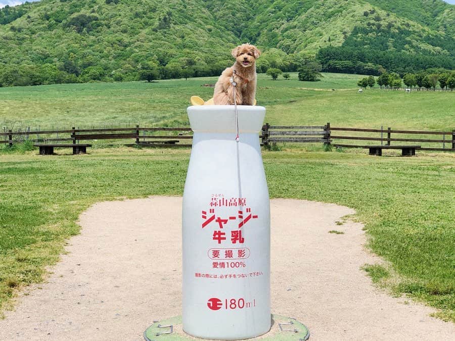 Karunaのインスタグラム