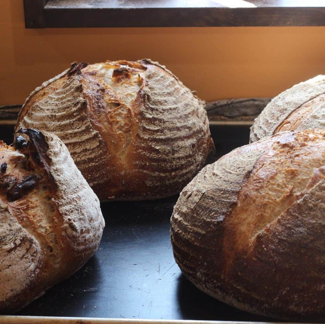 魔女菅原のグルメインスタ