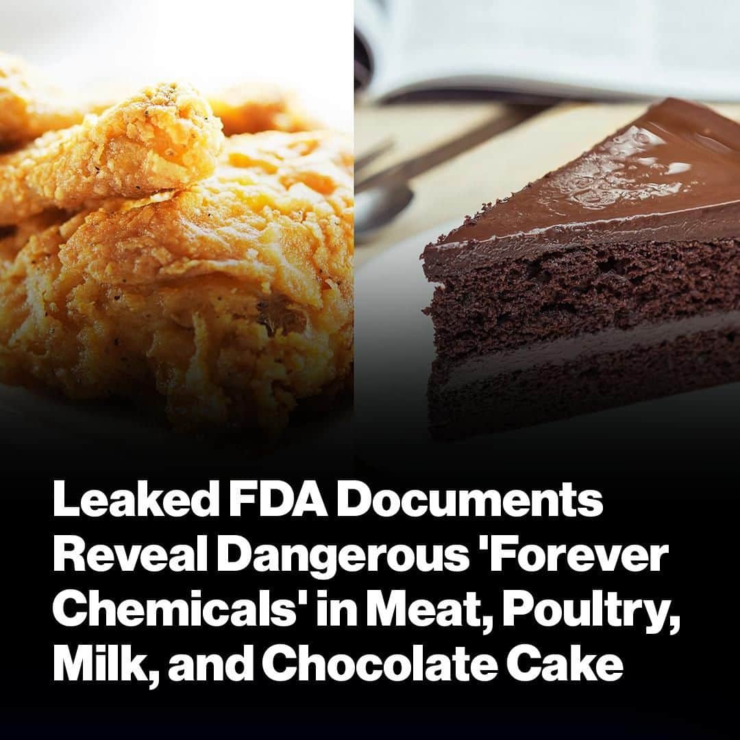 VICEさんのインスタグラム写真 - (VICEInstagram)「The amount of PFAS—a group of more than 5,000 man-made chemicals—found in chocolate cake was more than 250 times higher than the federal guidelines for PFAS in drinking water. 🍫 😳 Read more at the link in bio.」6月5日 6時42分 - vice